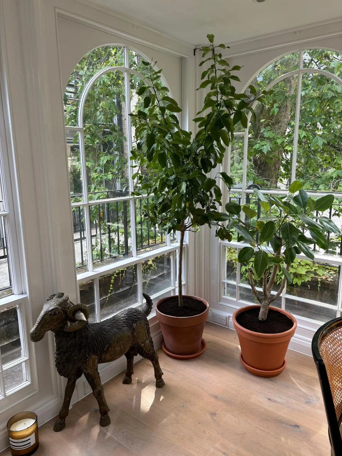 WhatsApp Image 2026-01-10 at 19.11.33yutte5t7e44e.jpeg