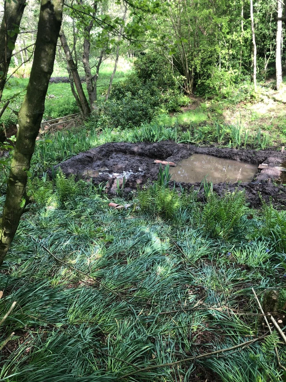 WhatsApp Image 2026-01-10 at 19.11.00fedgffv.jpeg