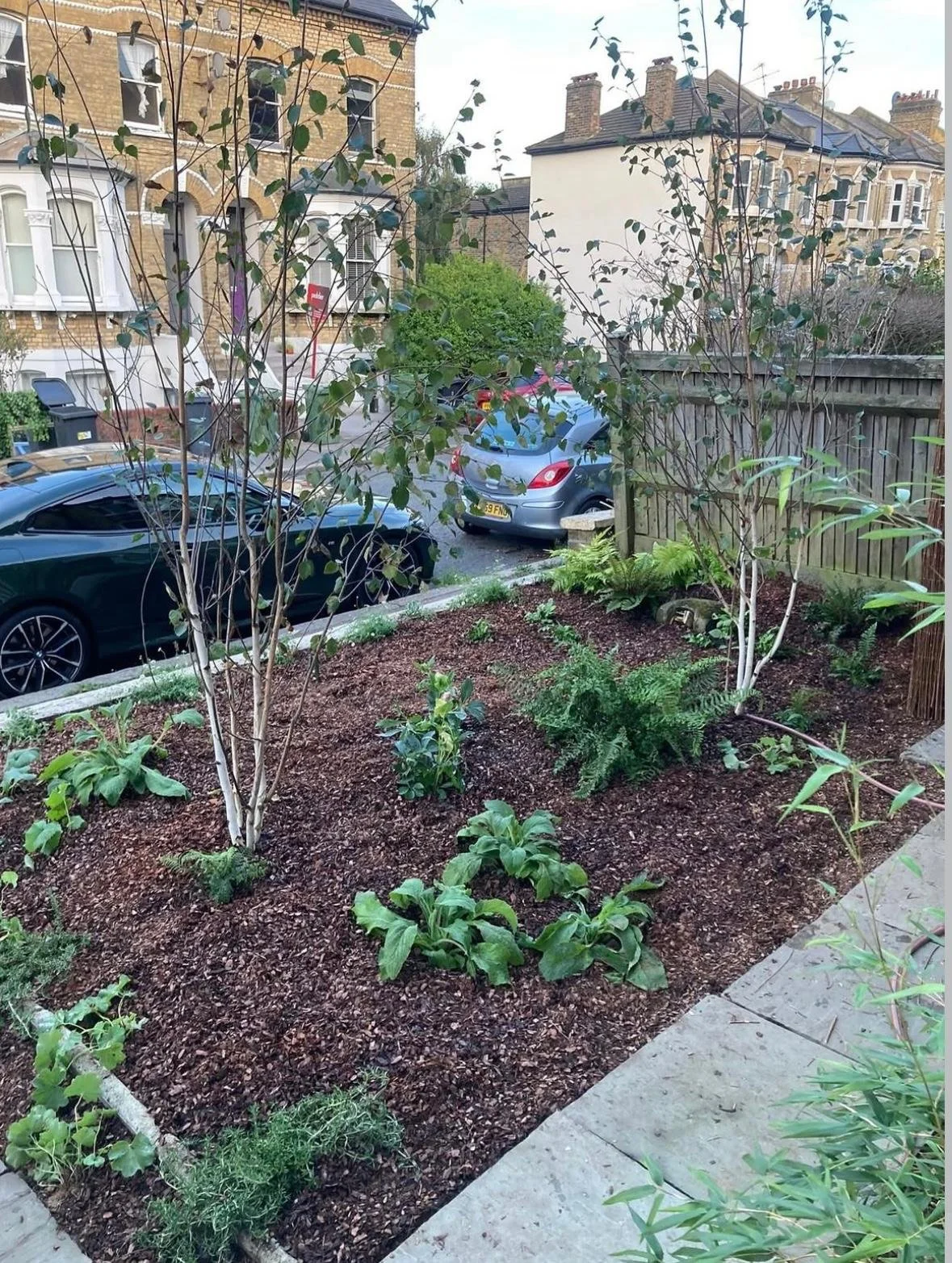 WhatsApp Image 2026-01-10 at 19.12.01ijuhyhtgfrf44f33.jpeg