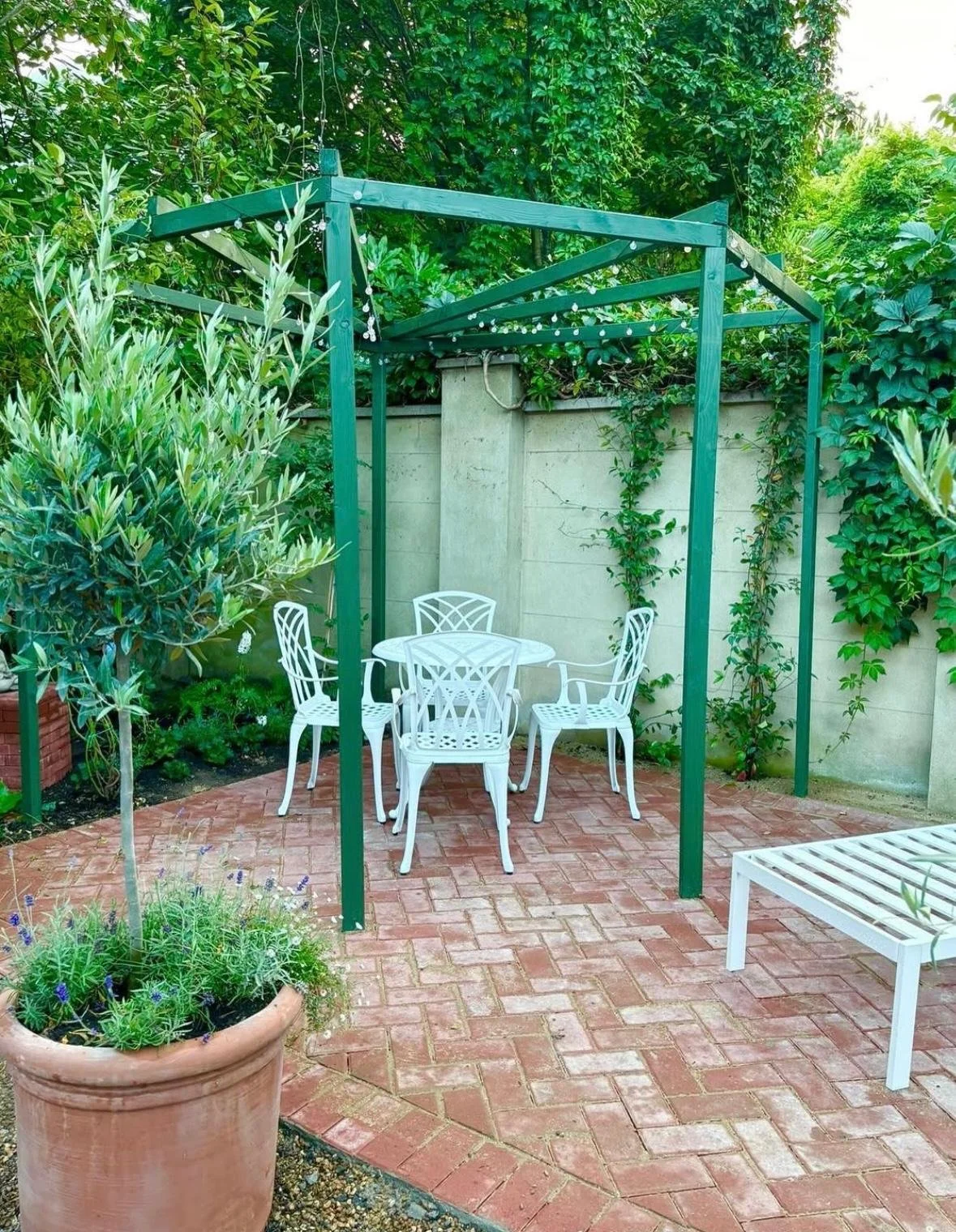 WhatsApp Image 2026-01-10 at 19.12.00lokuhtea.jpeg