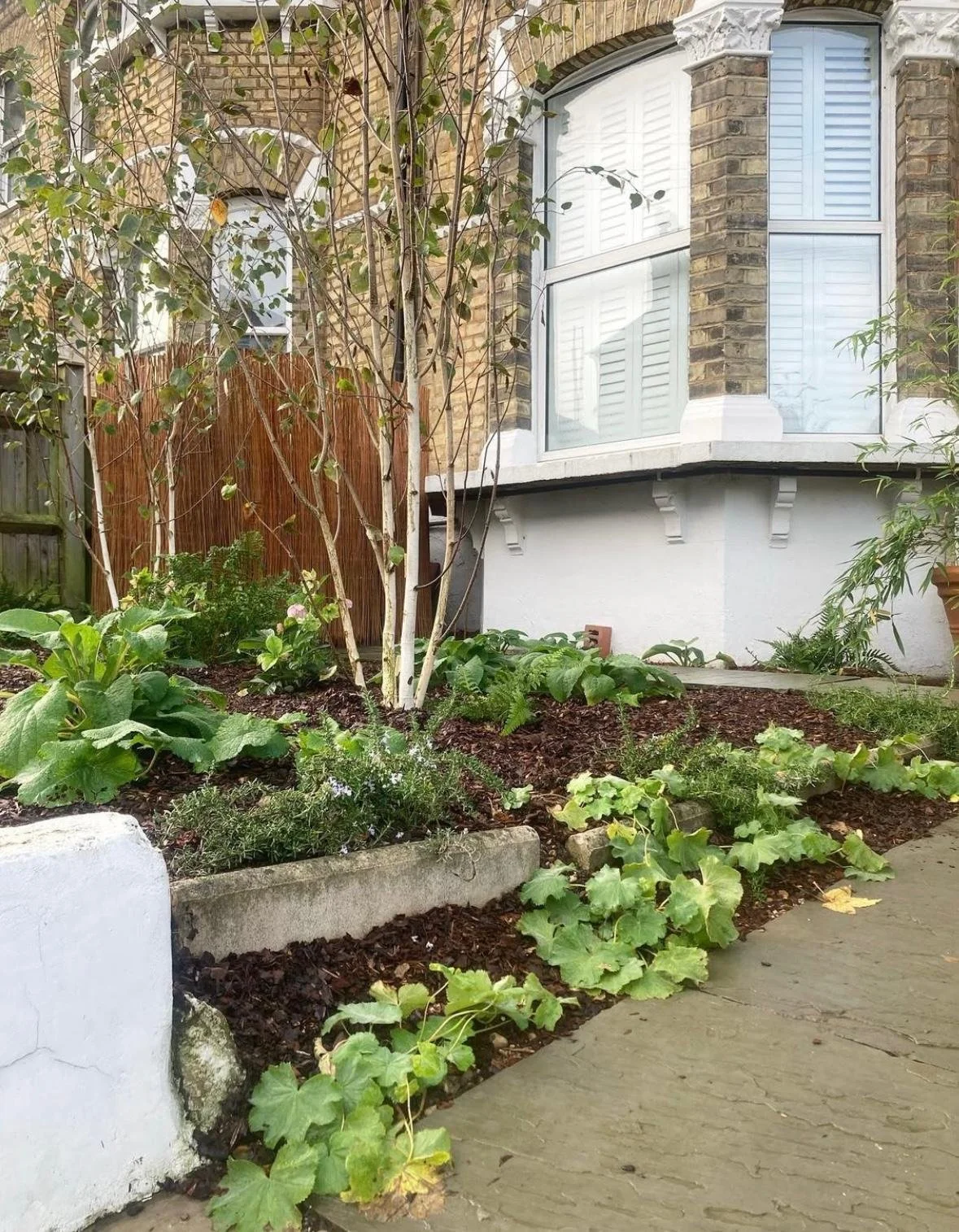 WhatsApp Image 2026-01-10 at 19.11.59bvbcvxzdaswswe.jpeg