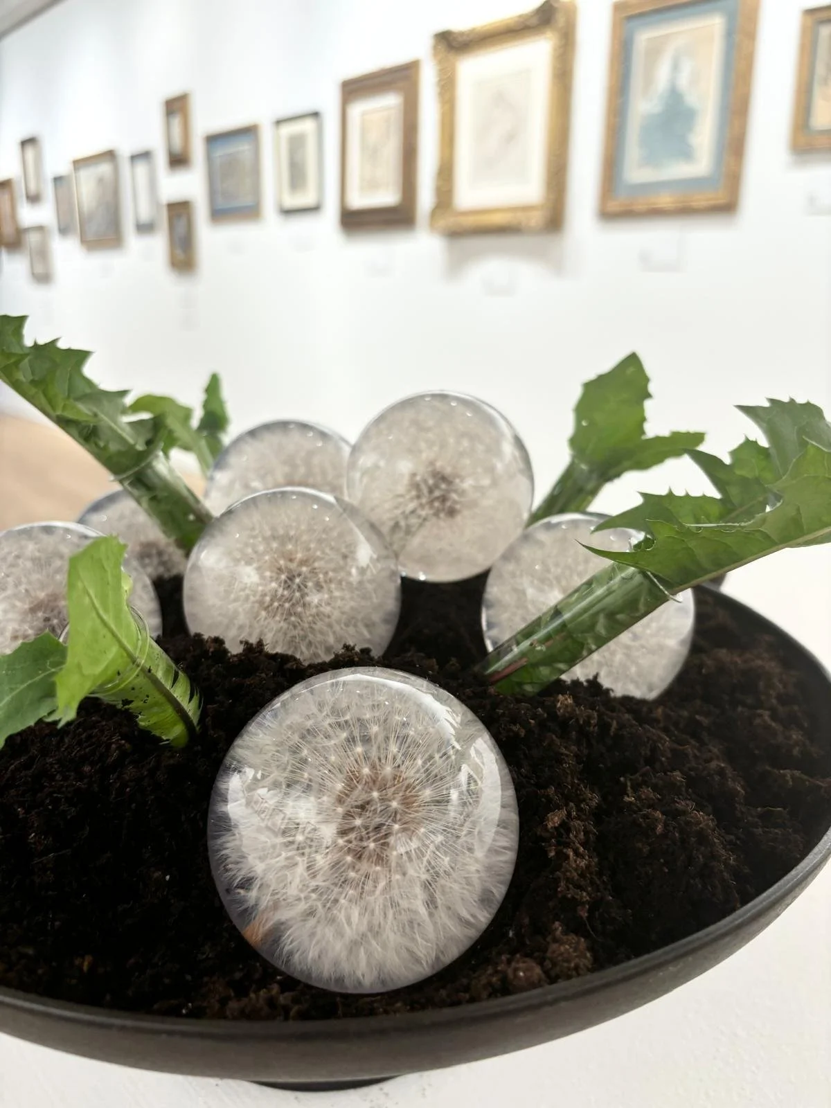 WhatsApp Image 2026-01-10 at 15.44.299999.jpeg