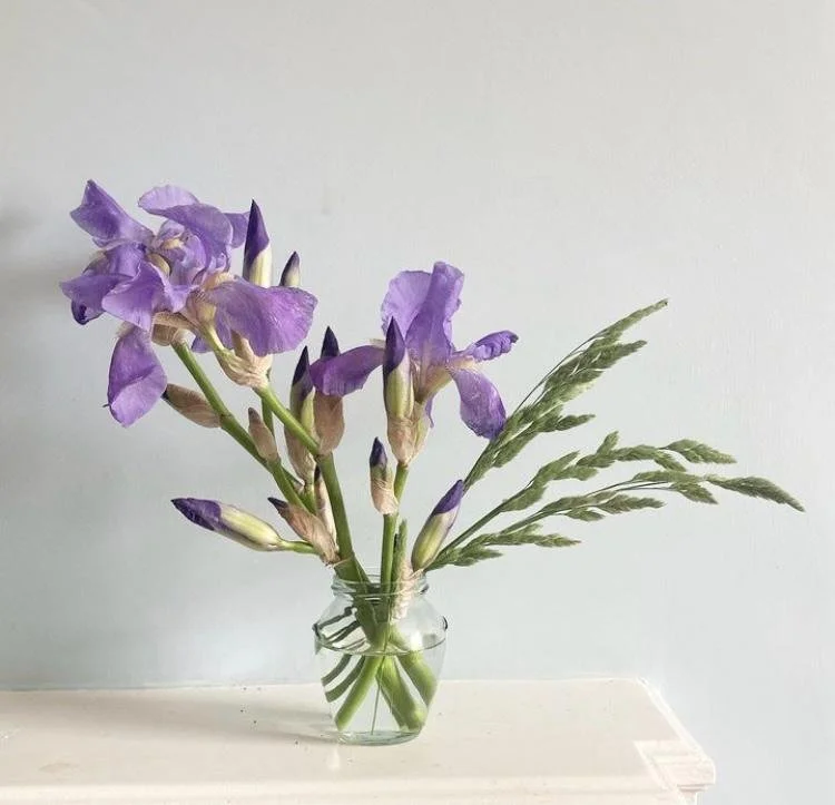 WhatsApp Image 2026-01-10 at 15.44.2209989877665.jpeg