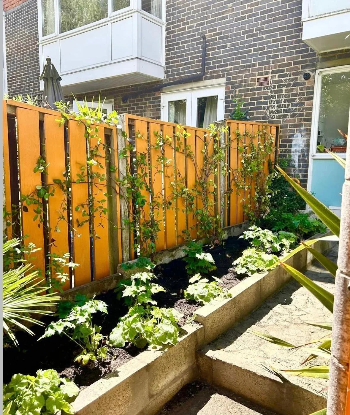 WhatsApp Image 2026-01-10 at 19.12.00uhgrtswew5gho.jpeg