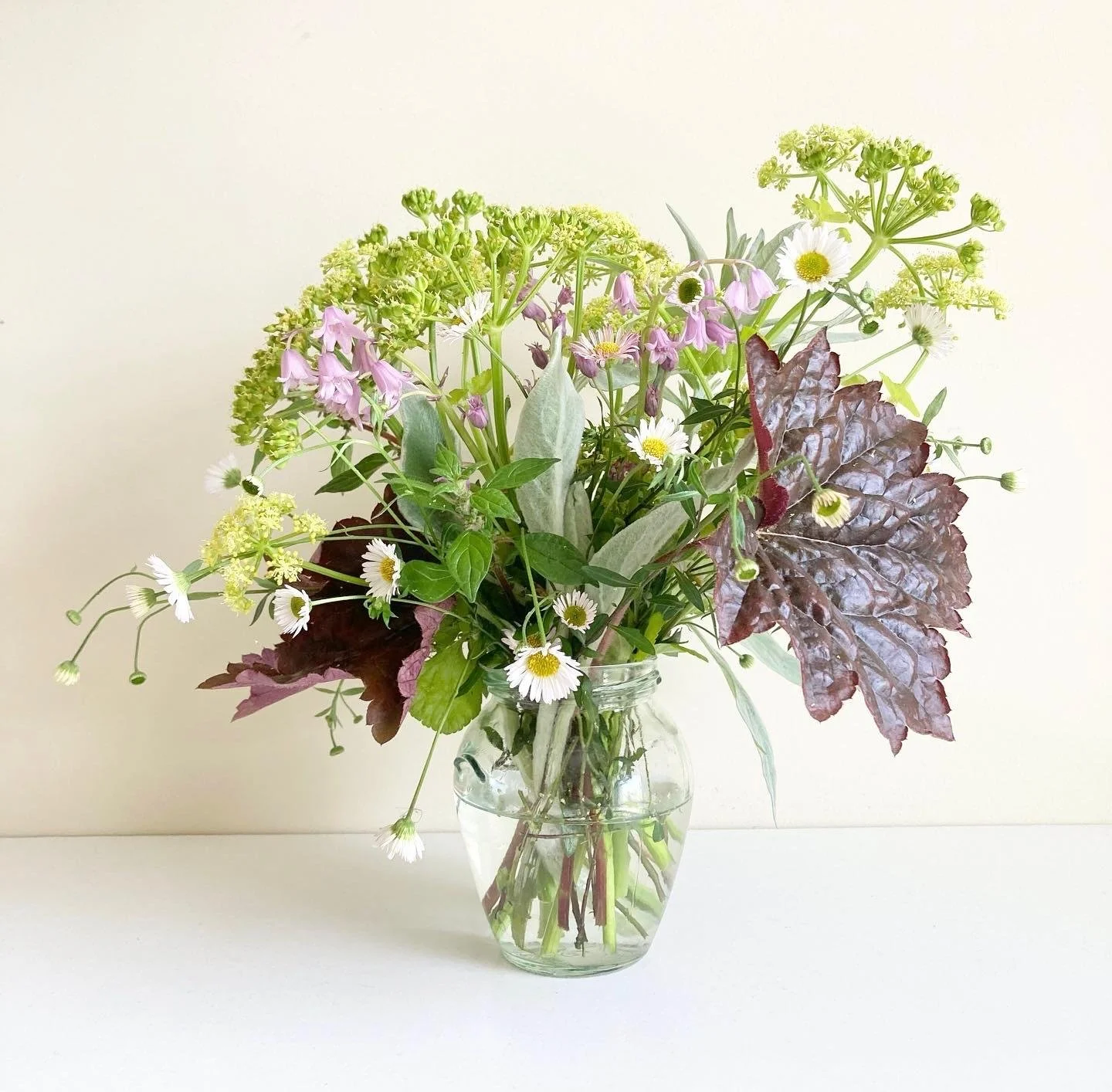 WhatsApp Image 2026-01-10 at 15.44.2249374775332.jpeg