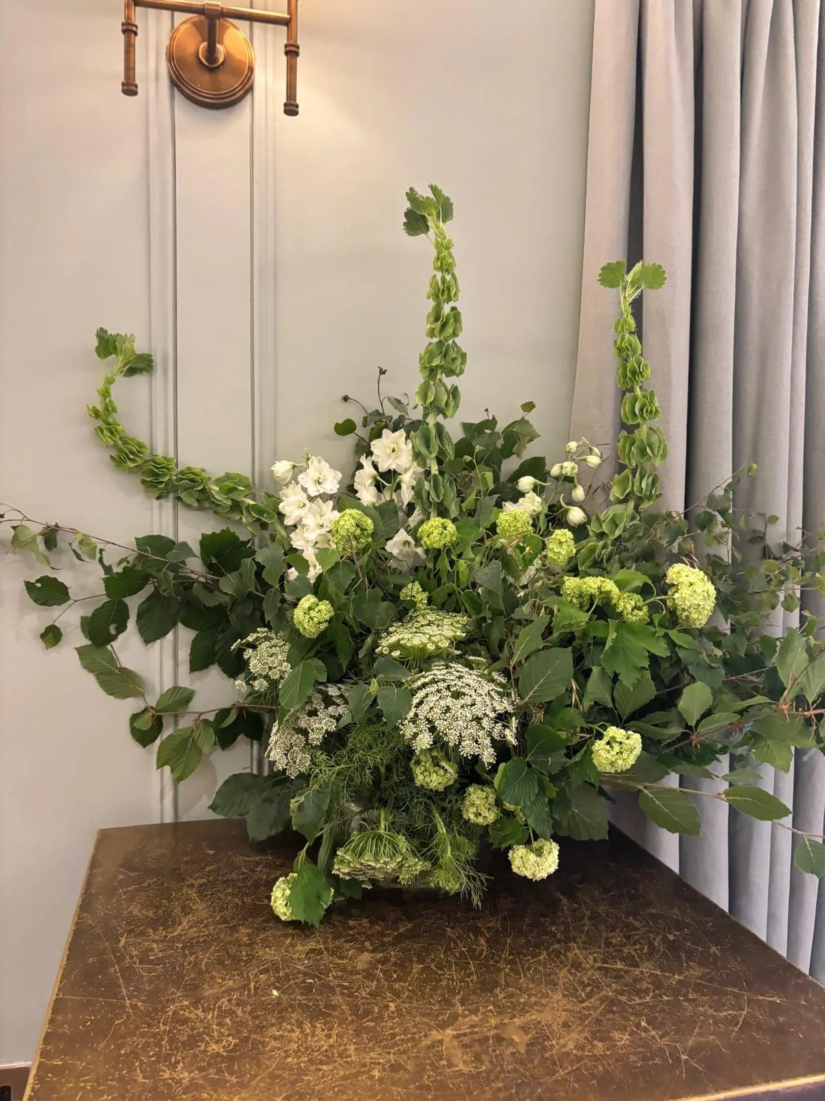 WhatsApp Image 2026-01-10 at 16.17.38adsdhfjgkjfhdgv.jpeg