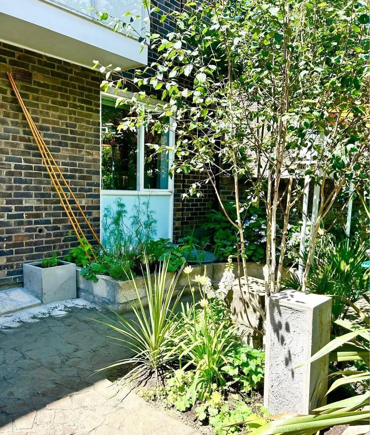 WhatsApp Image 2026-01-10 at 19.12.00kojuygtrwwq.jpeg