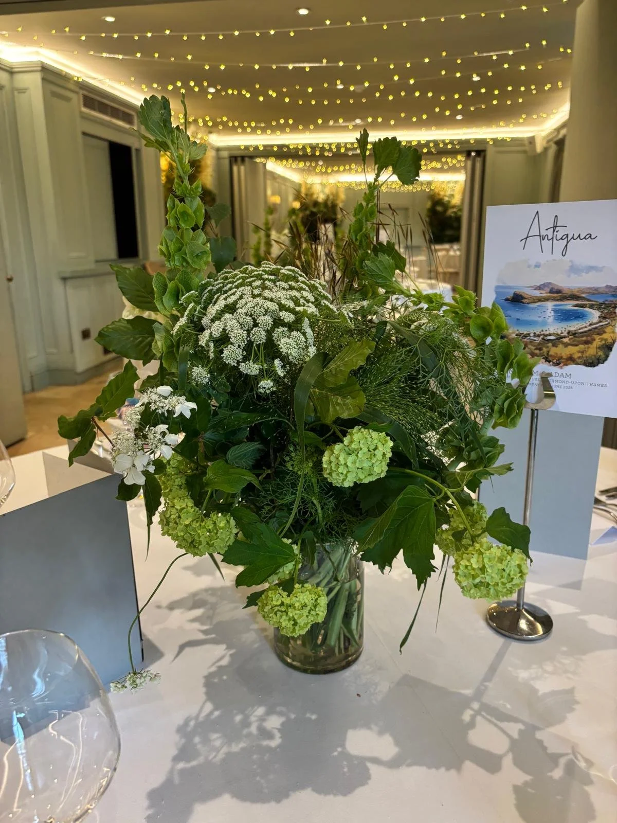 WhatsApp Image 2026-01-10 at 16.17.38wertyuio.jpeg