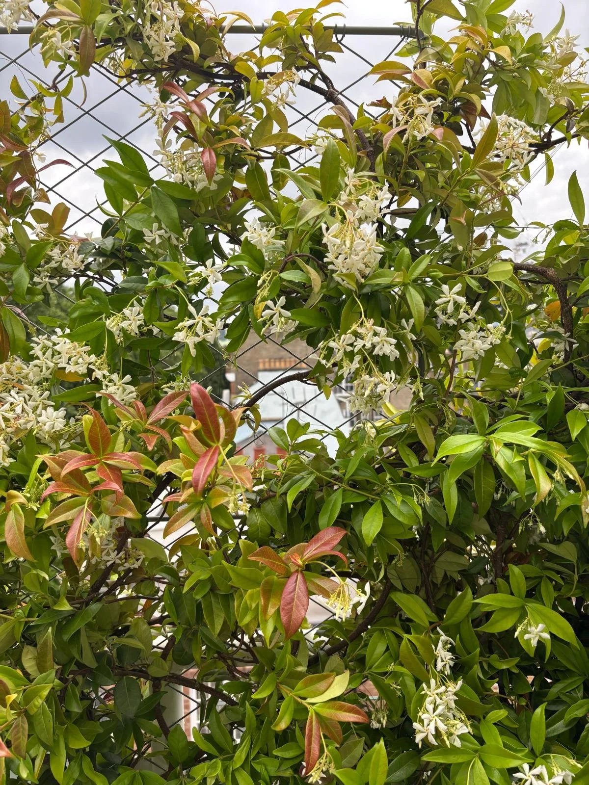 WhatsApp Image 2026-01-10 at 19.11.42jhydestyh.jpeg