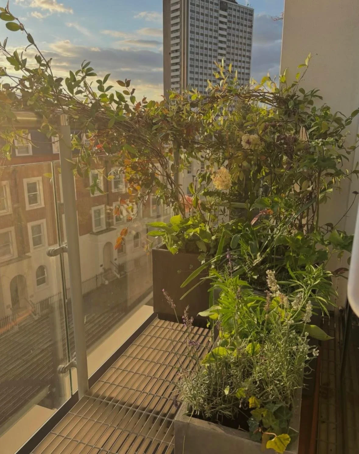 WhatsApp Image 2026-01-10 at 19.12.01aw45er6xt7cyvibuo.jpeg