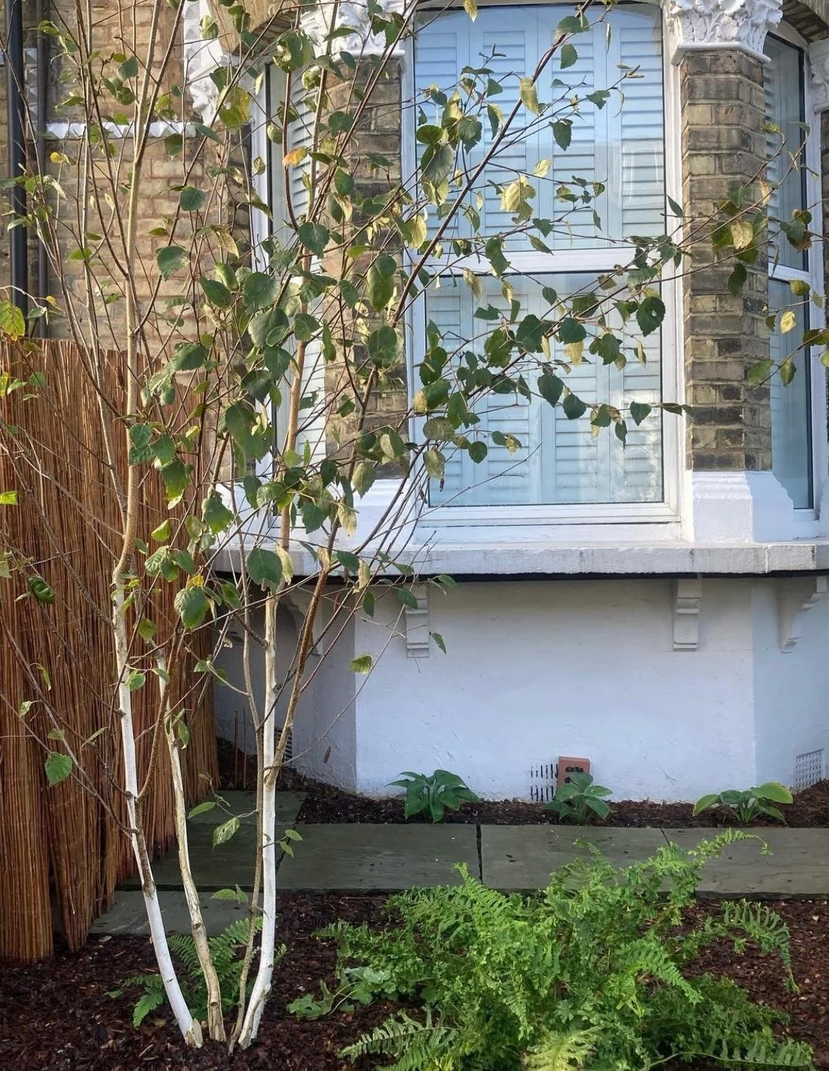 WhatsApp Image 2026-01-10 at 19.11.59iwgqrruiqwe.jpeg