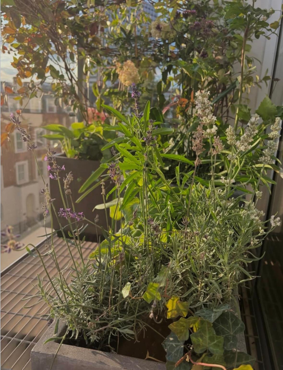 WhatsApp Image 2026-01-10 at 19.12.01fwhiouirhqh3r283.jpeg