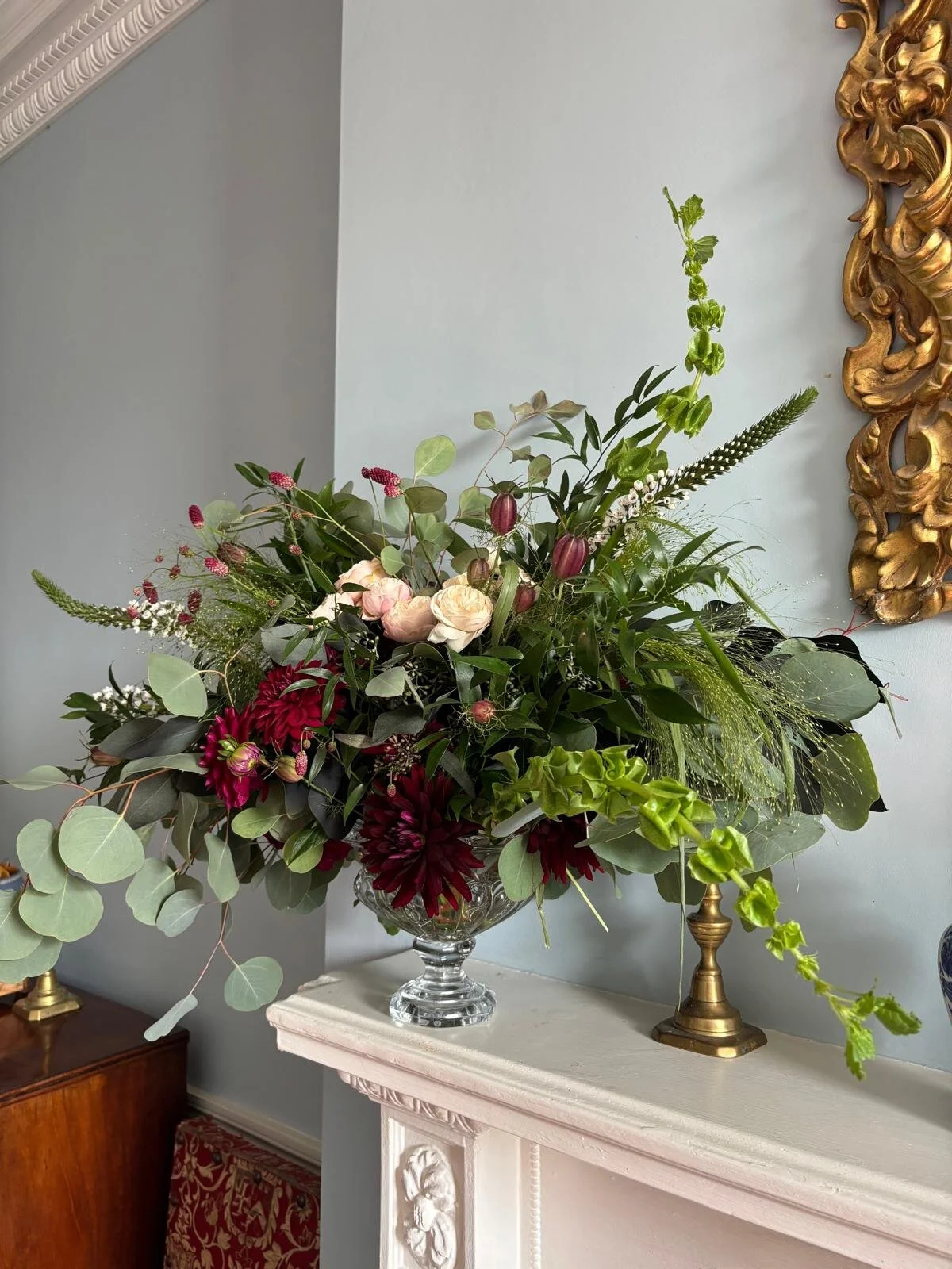 WhatsApp Image 2026-01-10 at 16.17.39sdfghjk