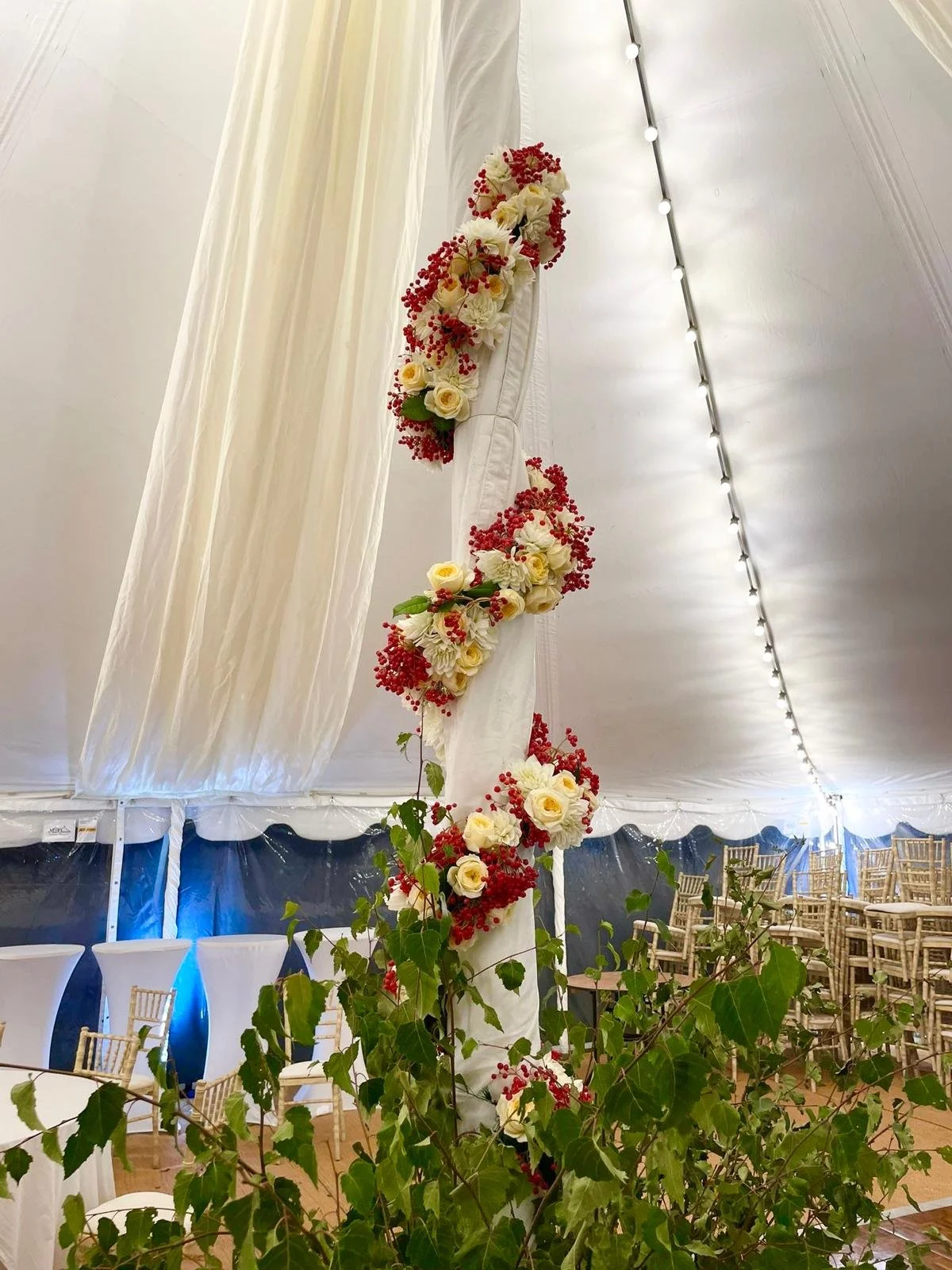 WhatsApp Image 2026-01-10 at 15.44.52ggggs.jpeg