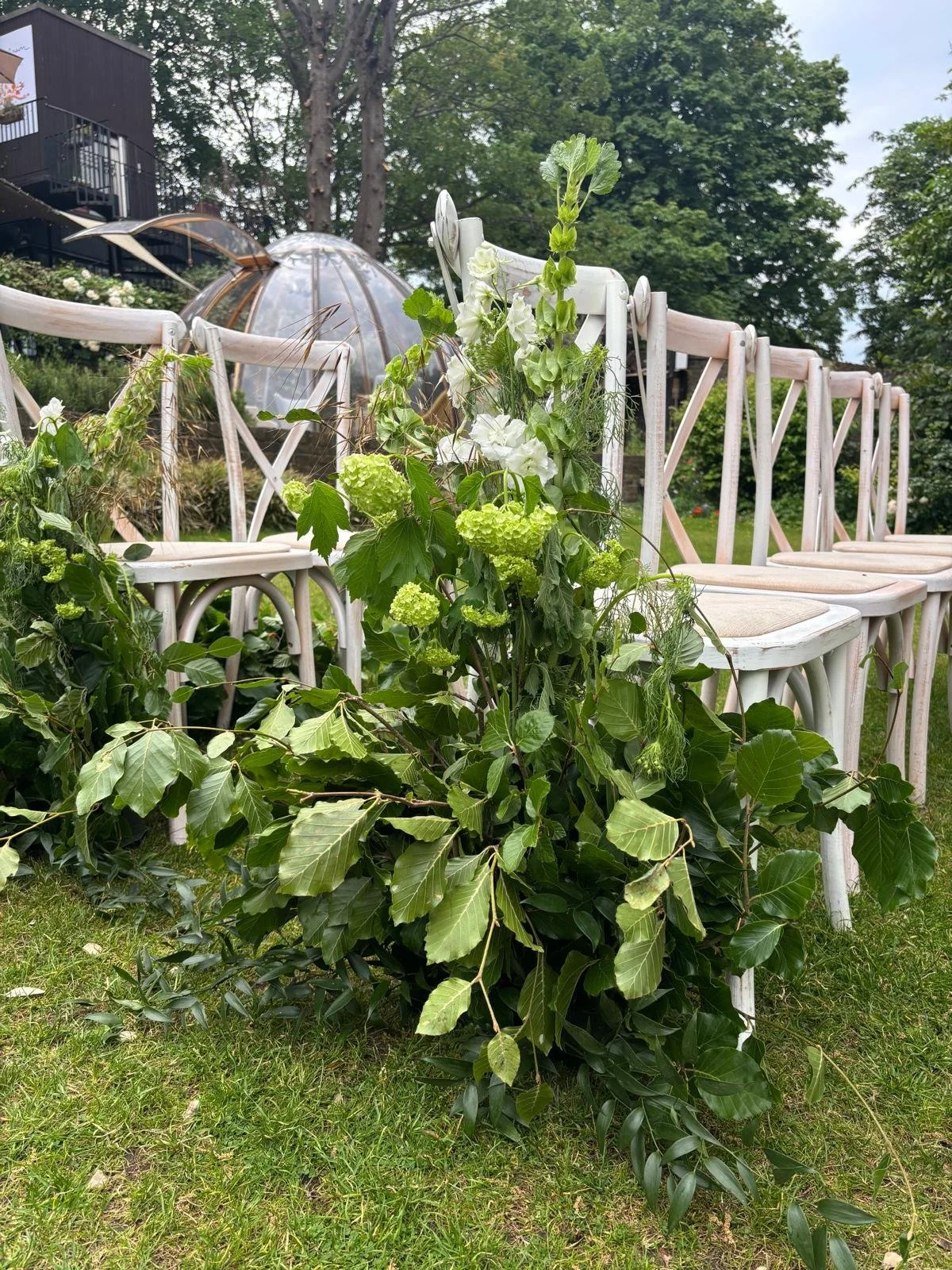 WhatsApp Image 2026-01-10 at 16.17.26jhdfuirhfues.jpeg