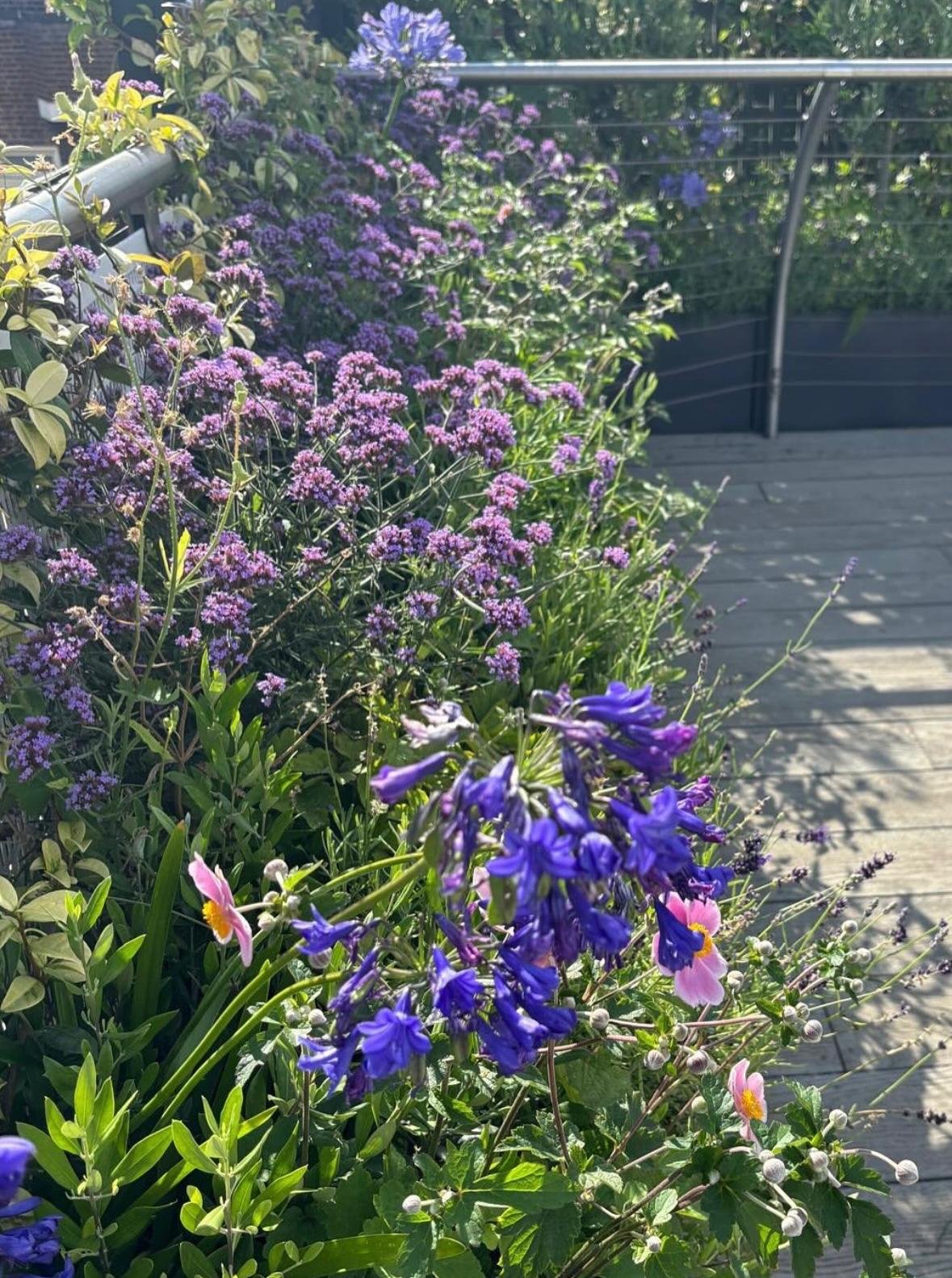 WhatsApp Image 2026-01-10 at 19.12.01linyvecwxsdfg.jpeg