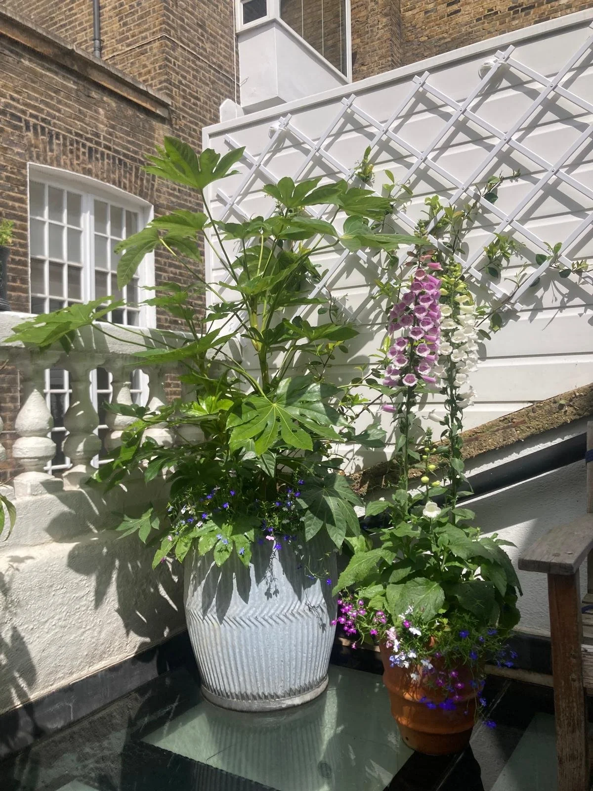 WhatsApp Image 2026-01-10 at 19.11.15sdfguioloiuytre.jpeg