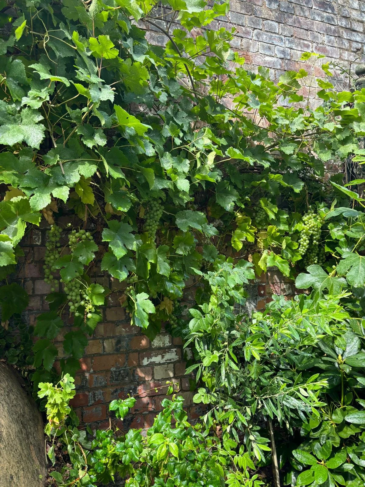 WhatsApp Image 2026-01-10 at 19.11.44kjhte3w45678.jpeg