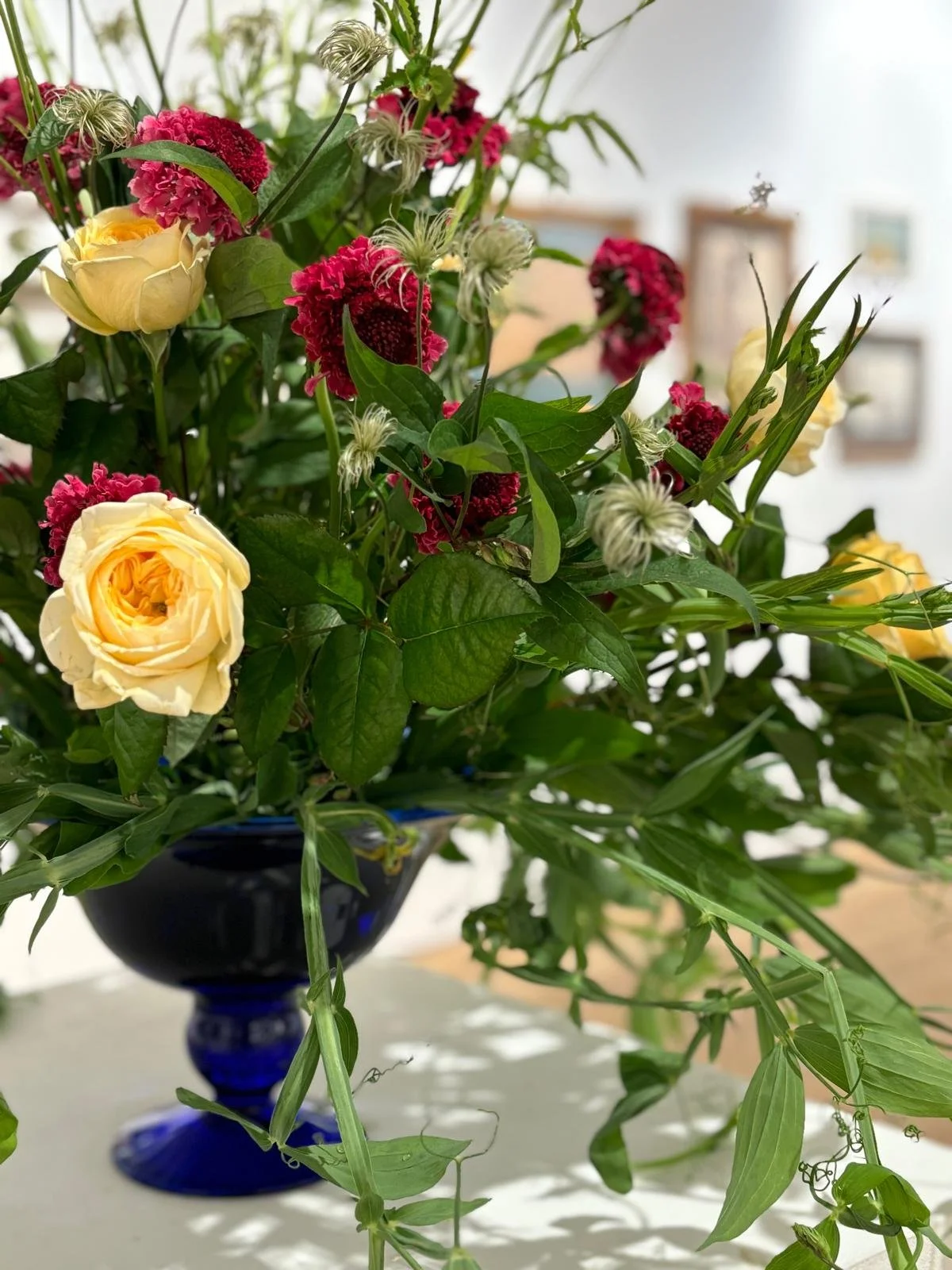 WhatsApp Image 2026-01-10 at 15.44.52242435.jpeg