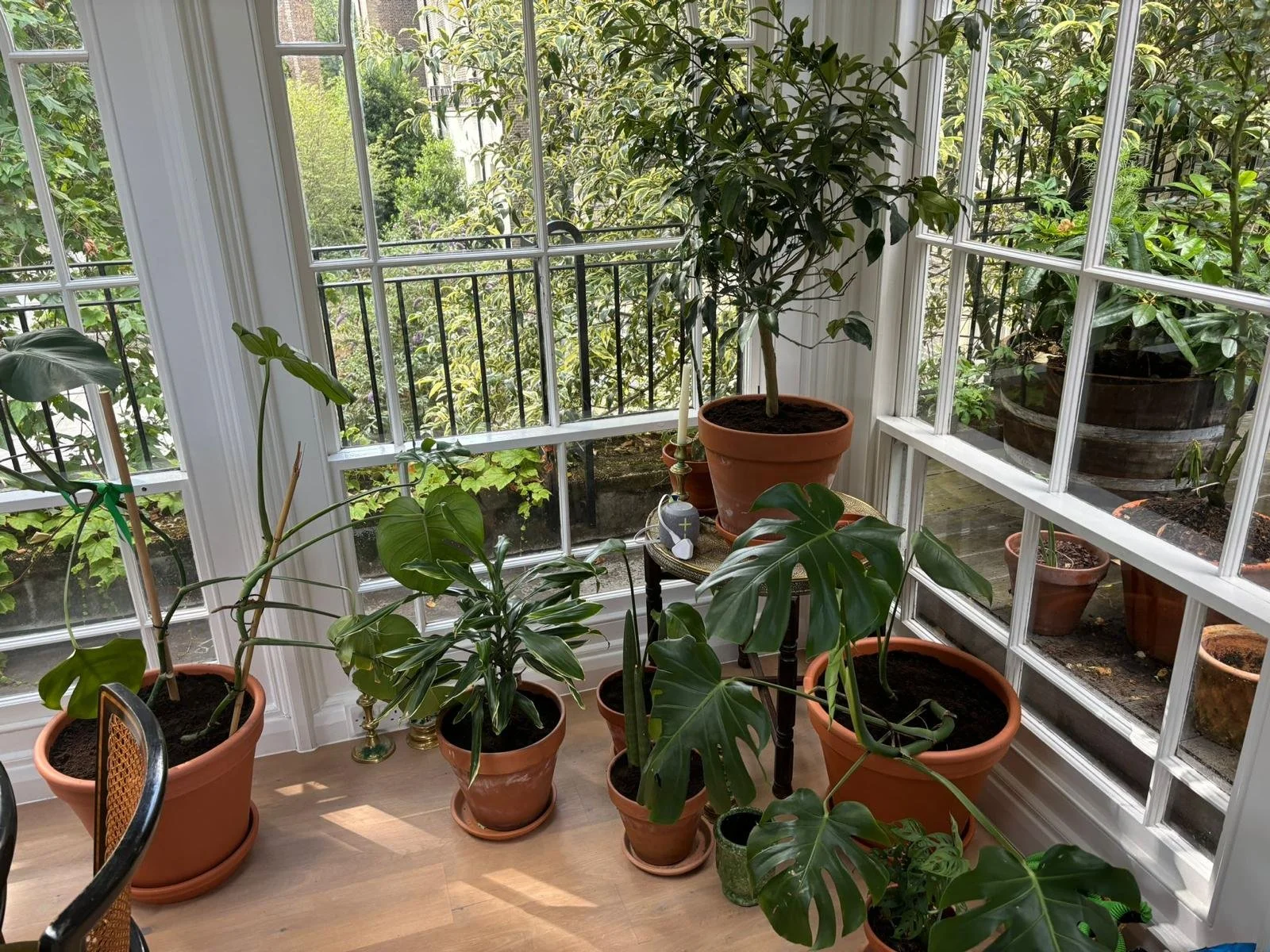 WhatsApp Image 2026-01-10 at 19.11.3265678ufujk.jpeg