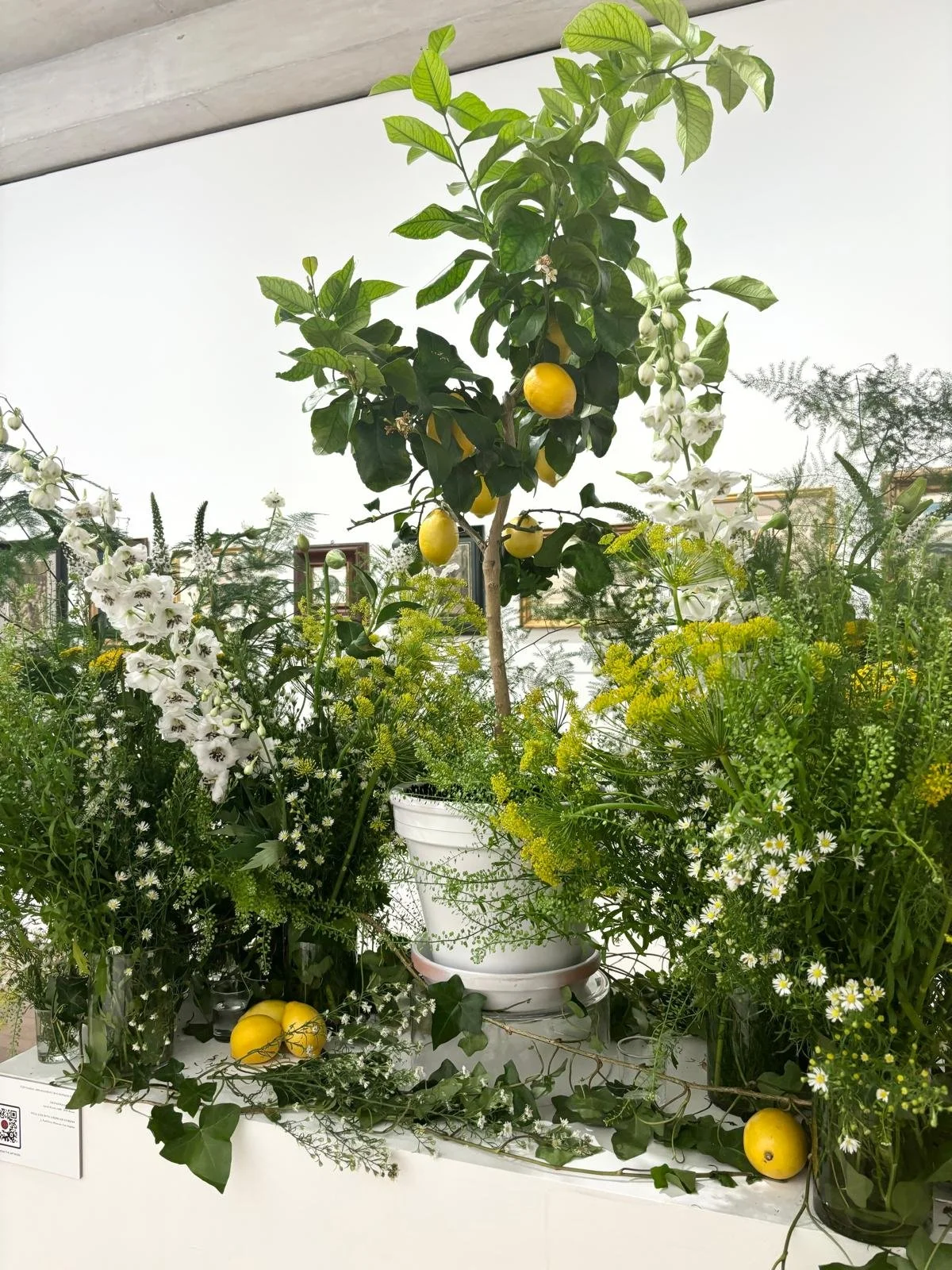 WhatsApp Image 2026-01-10 at 15.44.3111111111111.jpeg