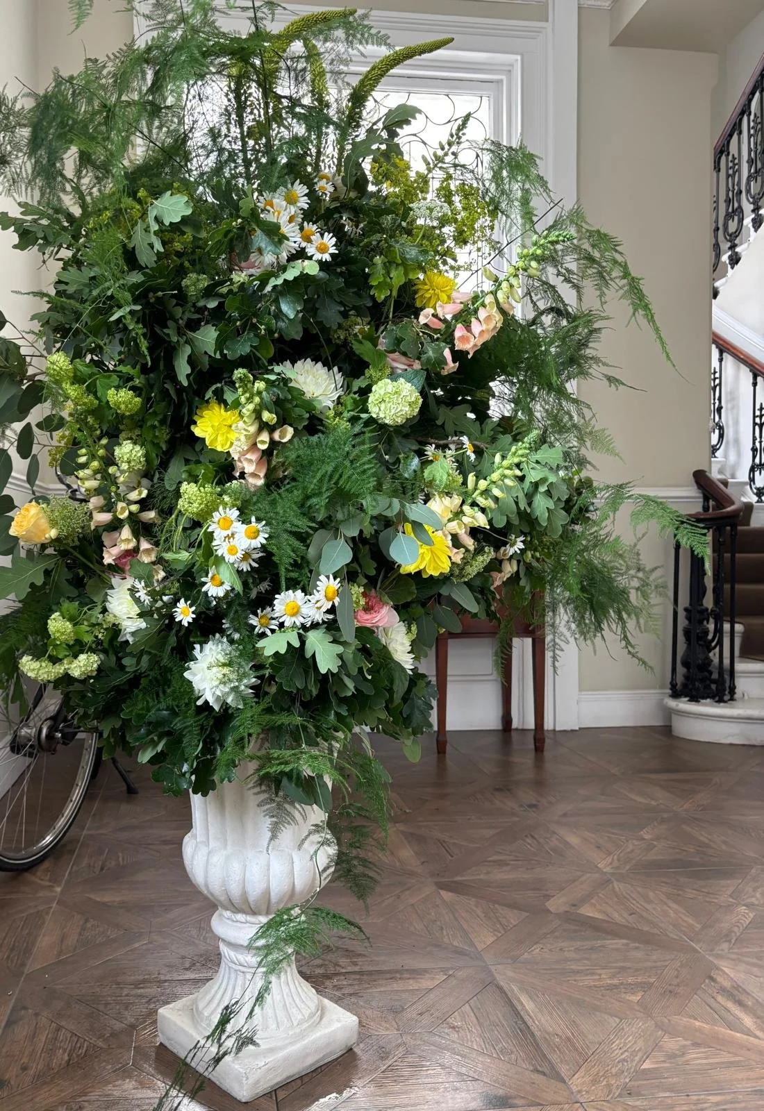 WhatsApp Image 2026-01-10 at 16.17.26lklkljj.jpeg