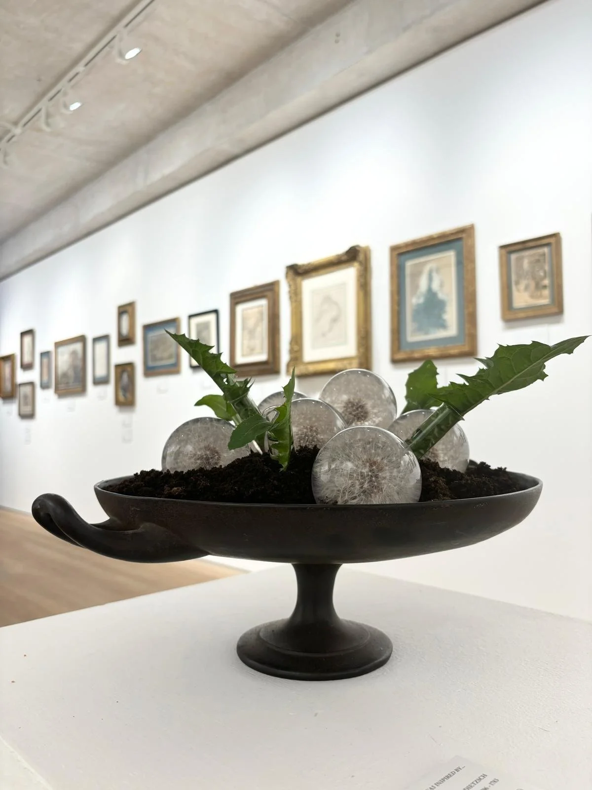 WhatsApp Image 2026-01-10 at 15.44.2999.jpeg