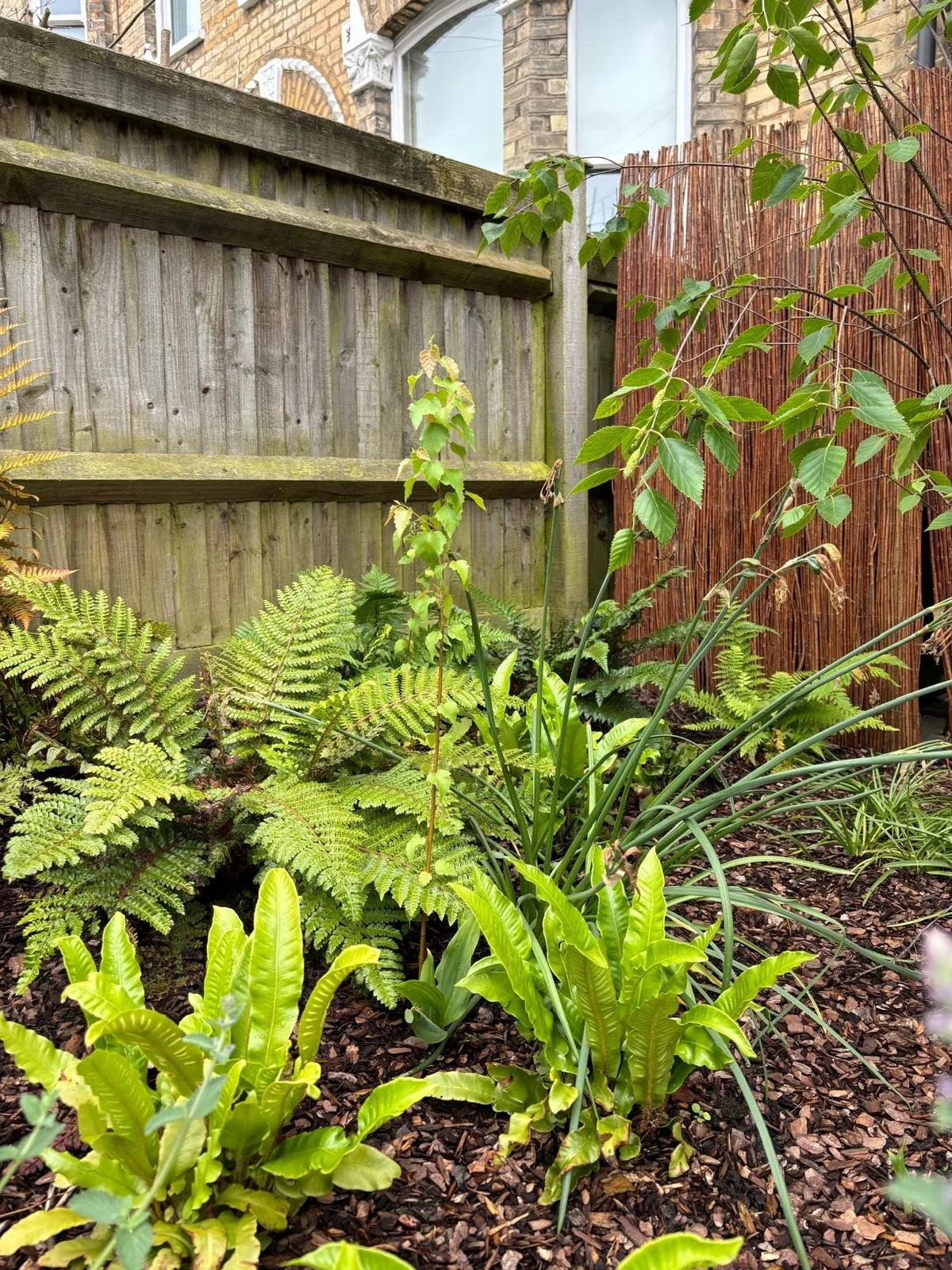 WhatsApp Image 2026-01-10 at 19.11.206yghb.jpeg