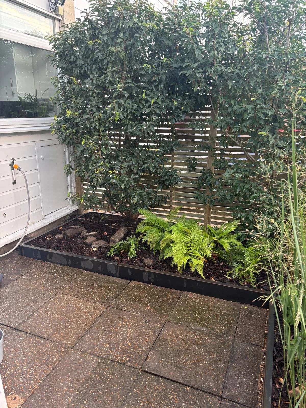 WhatsApp Image 2026-01-10 at 19.11.53plpkojyntecww.jpeg