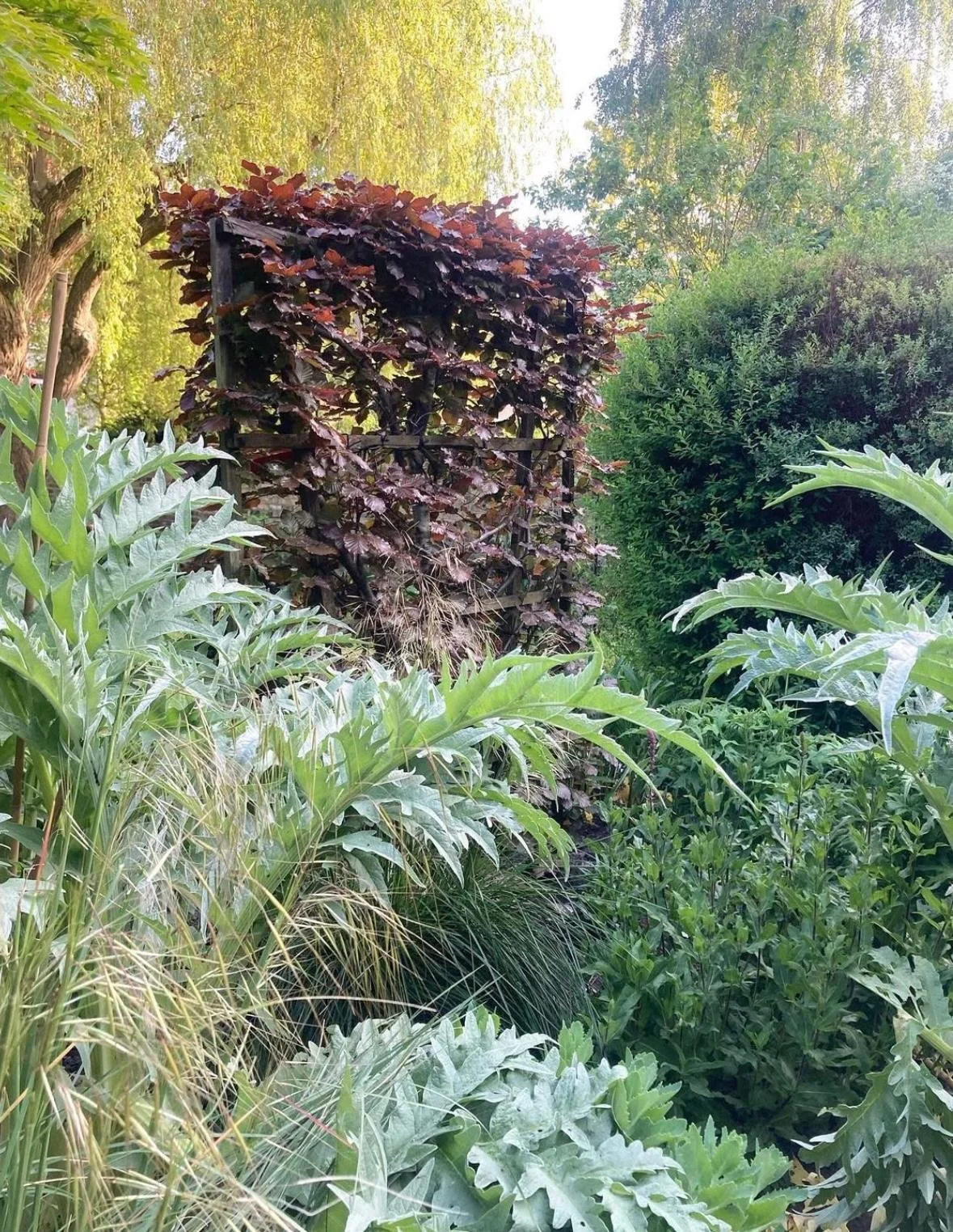 WhatsApp Image 2026-01-10 at 19.11.55mbhfrdsrtbni.jpeg