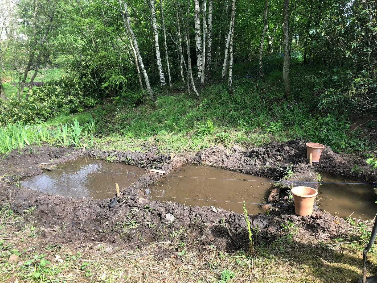 WhatsApp Image 2026-01-10 at 19.10.48.jpeg