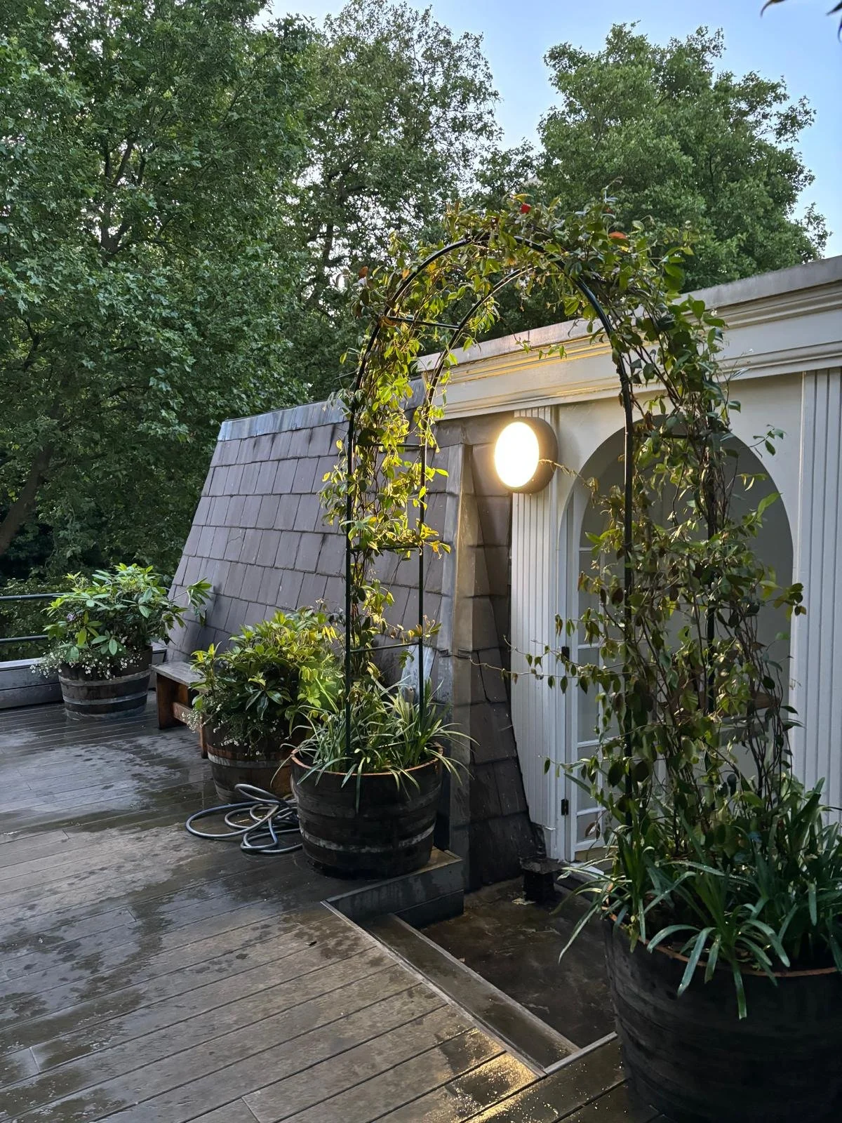 WhatsApp Image 2026-01-10 at 19.11.28bhrttygu.jpeg