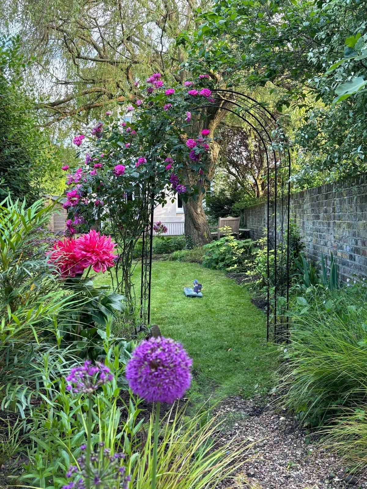 WhatsApp Image 2026-01-10 at 19.11.23plkmnug.jpeg