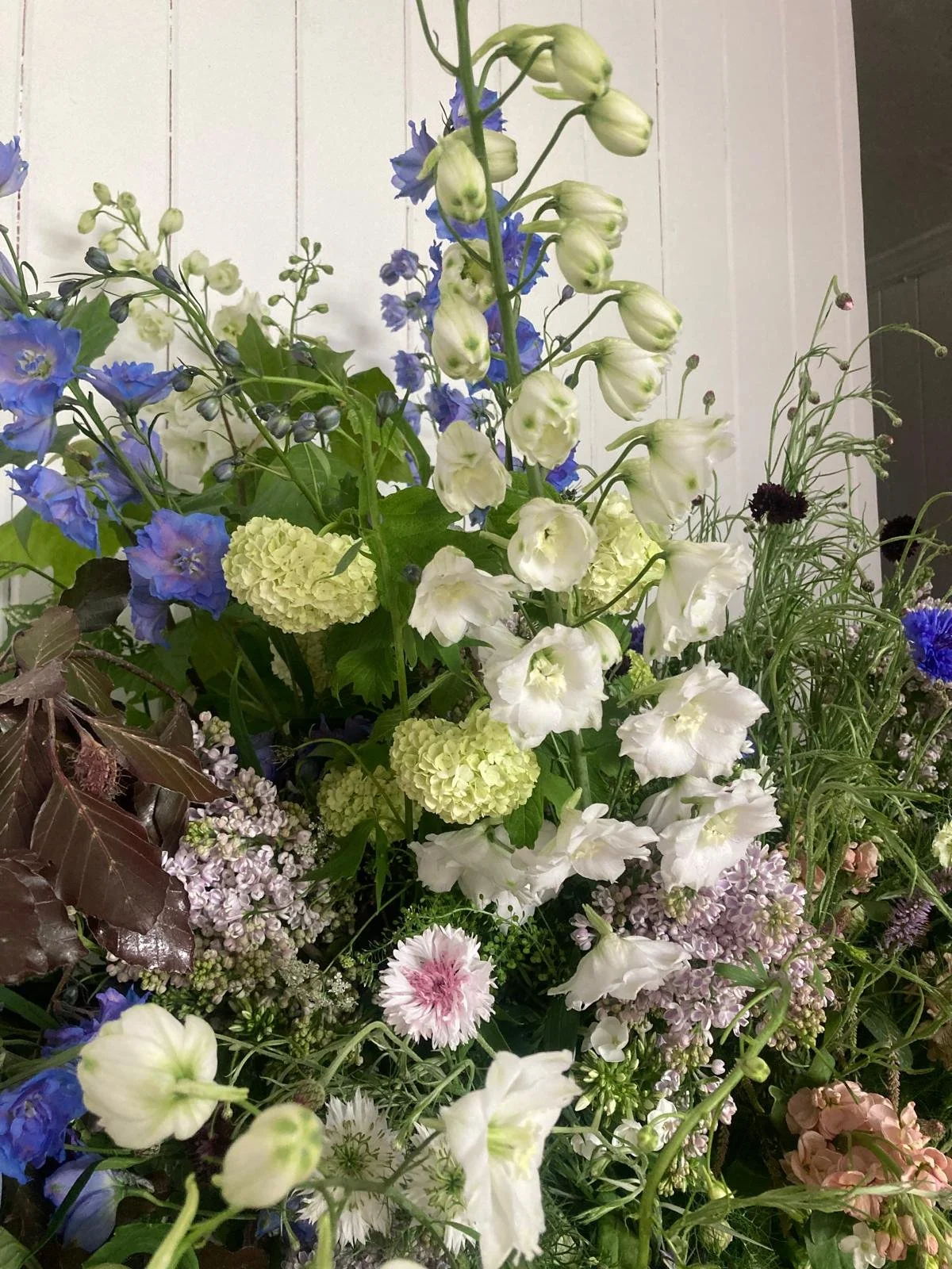 WhatsApp Image 2026-01-10 at 15.44.22098764.jpeg