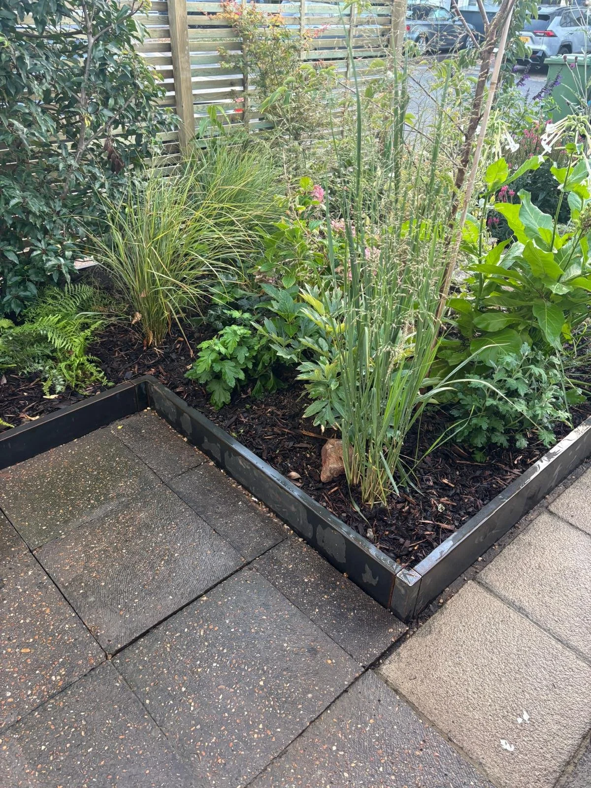 WhatsApp Image 2026-01-10 at 19.11.54okihtrdswxcvb.jpeg