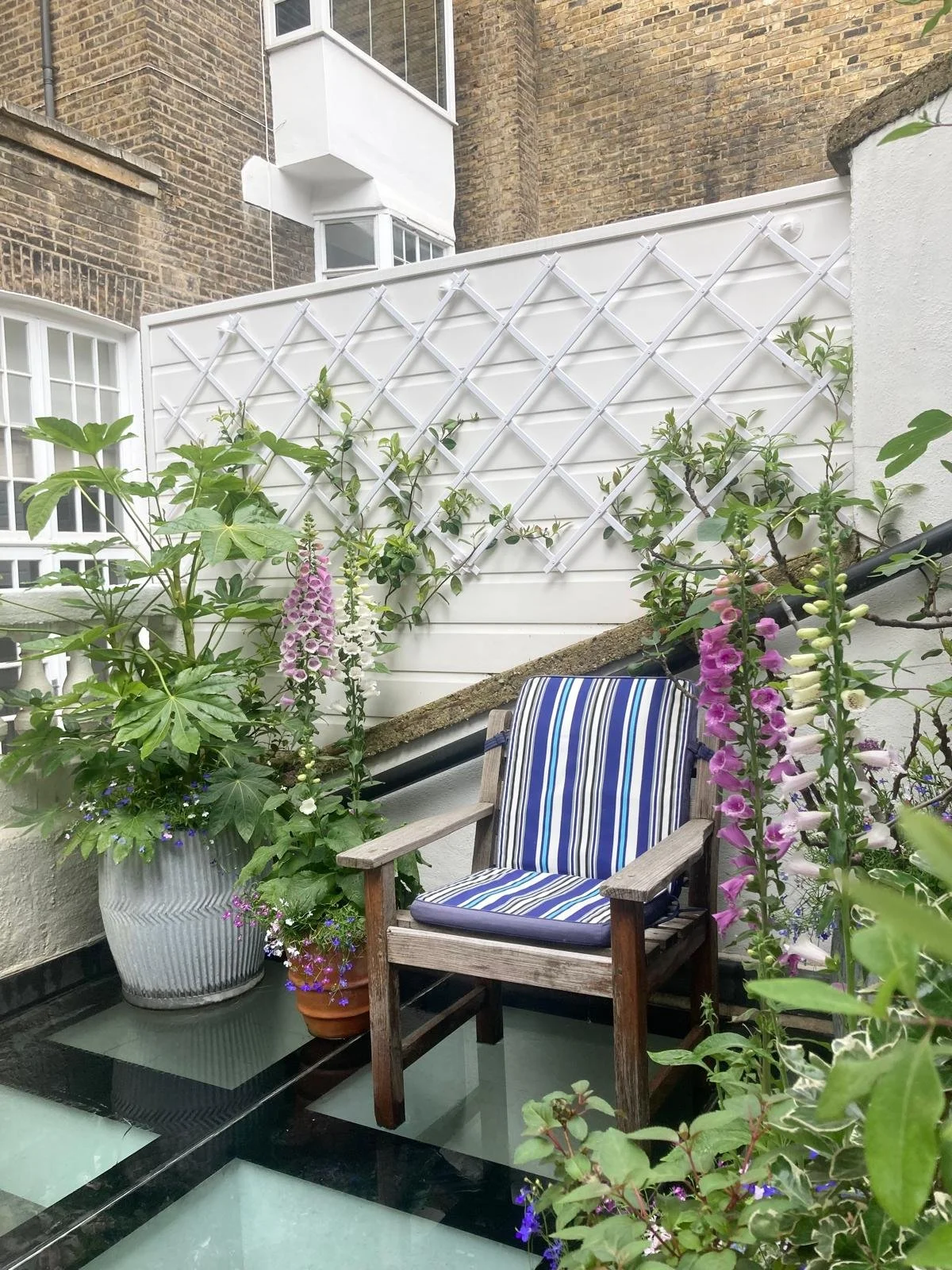 WhatsApp Image 2026-01-10 at 19.11.14lkjhgfdsa.jpeg