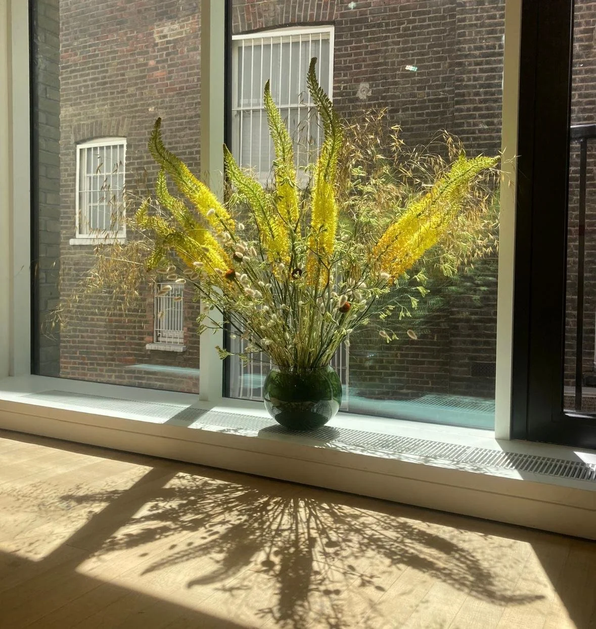 WhatsApp Image 2026-01-10 at 16.17.04.jpeg