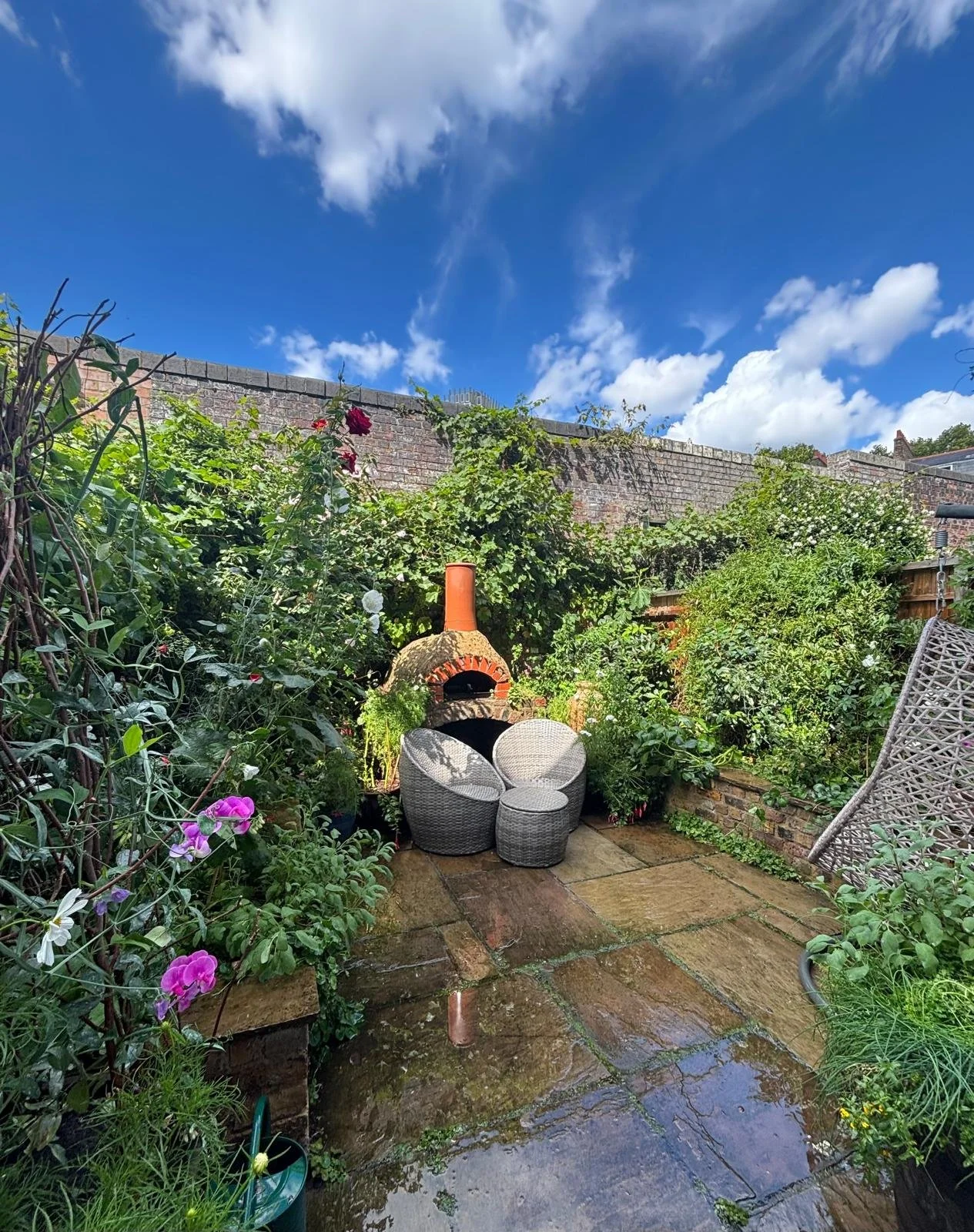 WhatsApp Image 2026-01-10 at 19.11.47oiuytdcgvhbjnkm.jpeg