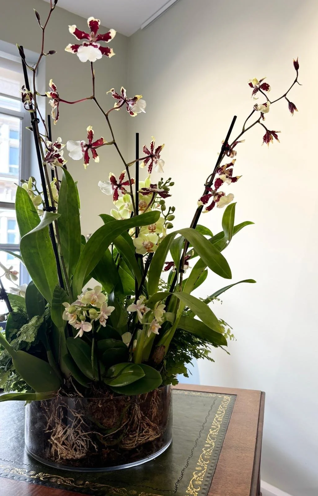 WhatsApp Image 2026-01-10 at 15.44.2455786.jpeg