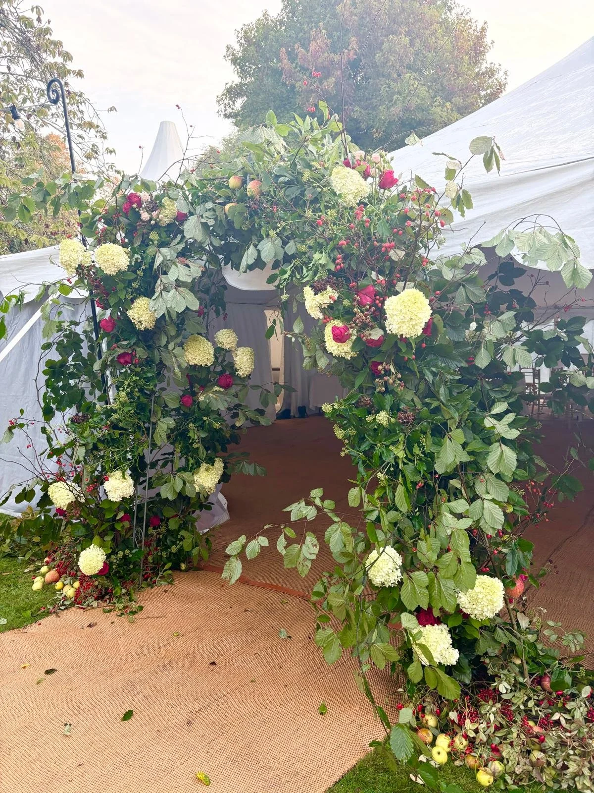 WhatsApp Image 2026-01-10 at 15.44.249999.jpeg