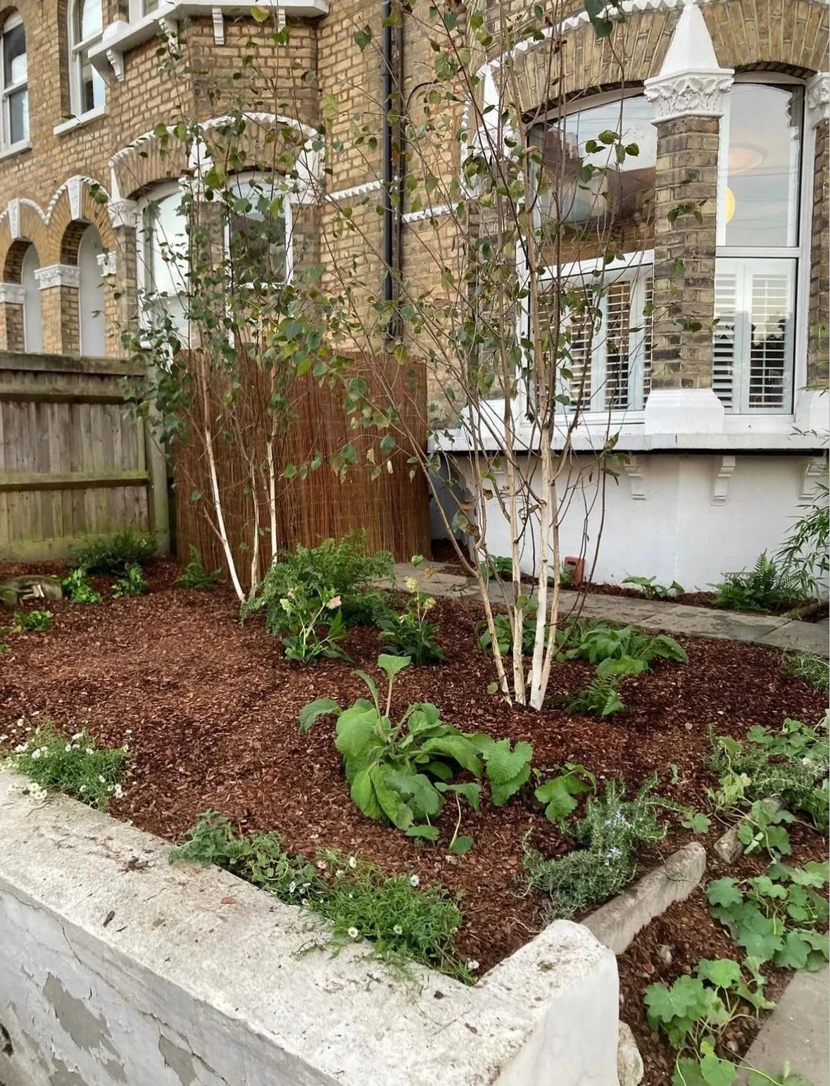 WhatsApp Image 2026-01-10 at 19.12.01miouierwew.jpeg