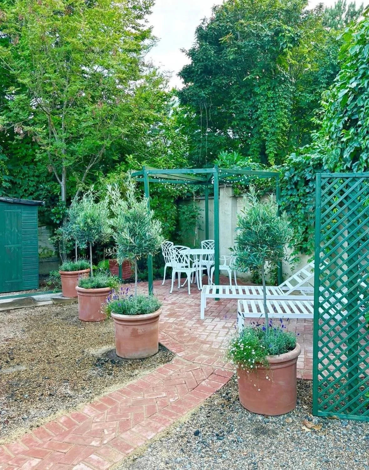 WhatsApp Image 2026-01-10 at 19.12.00nmnvbgfdesw.jpeg