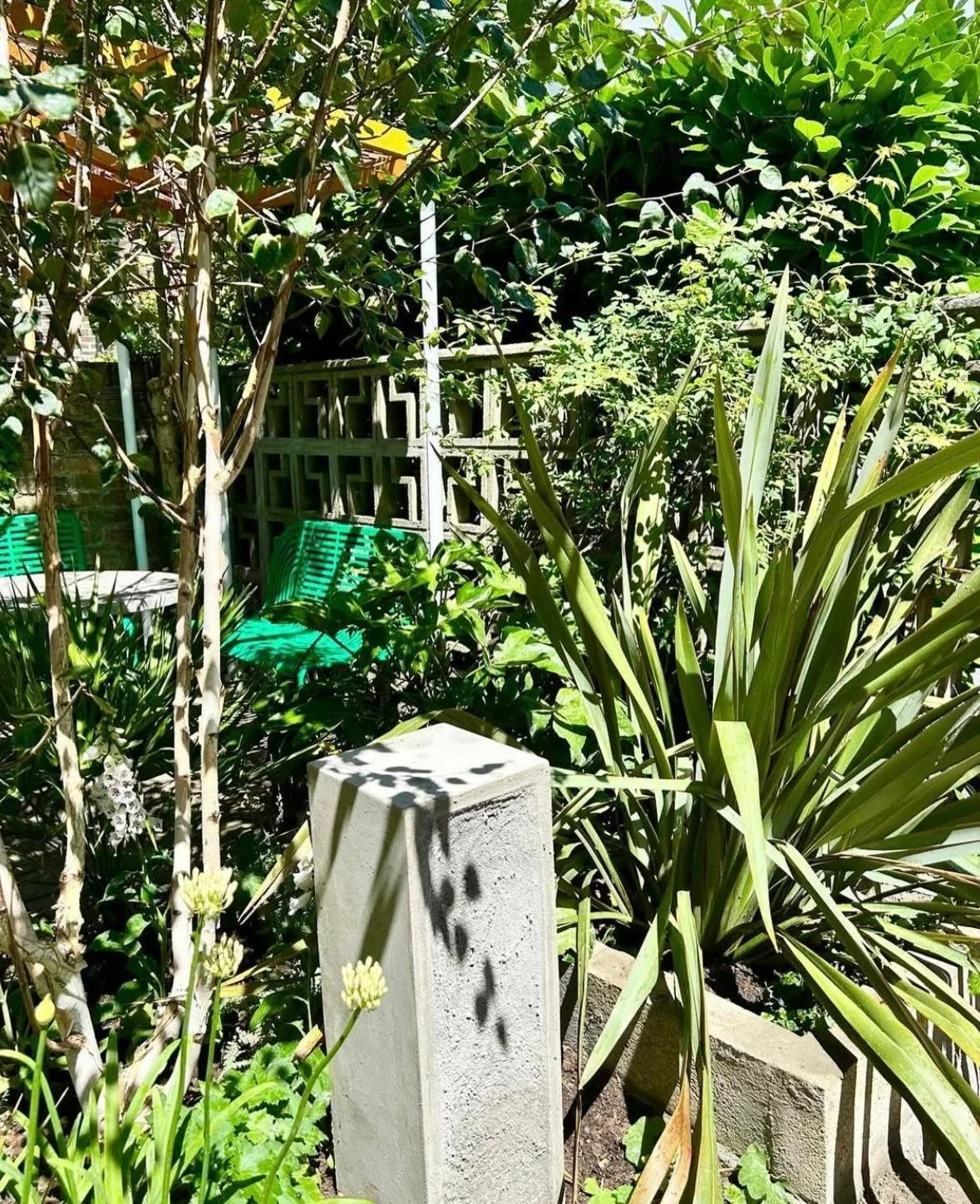 WhatsApp Image 2026-01-10 at 19.12.00hggftrswkkoi.jpeg