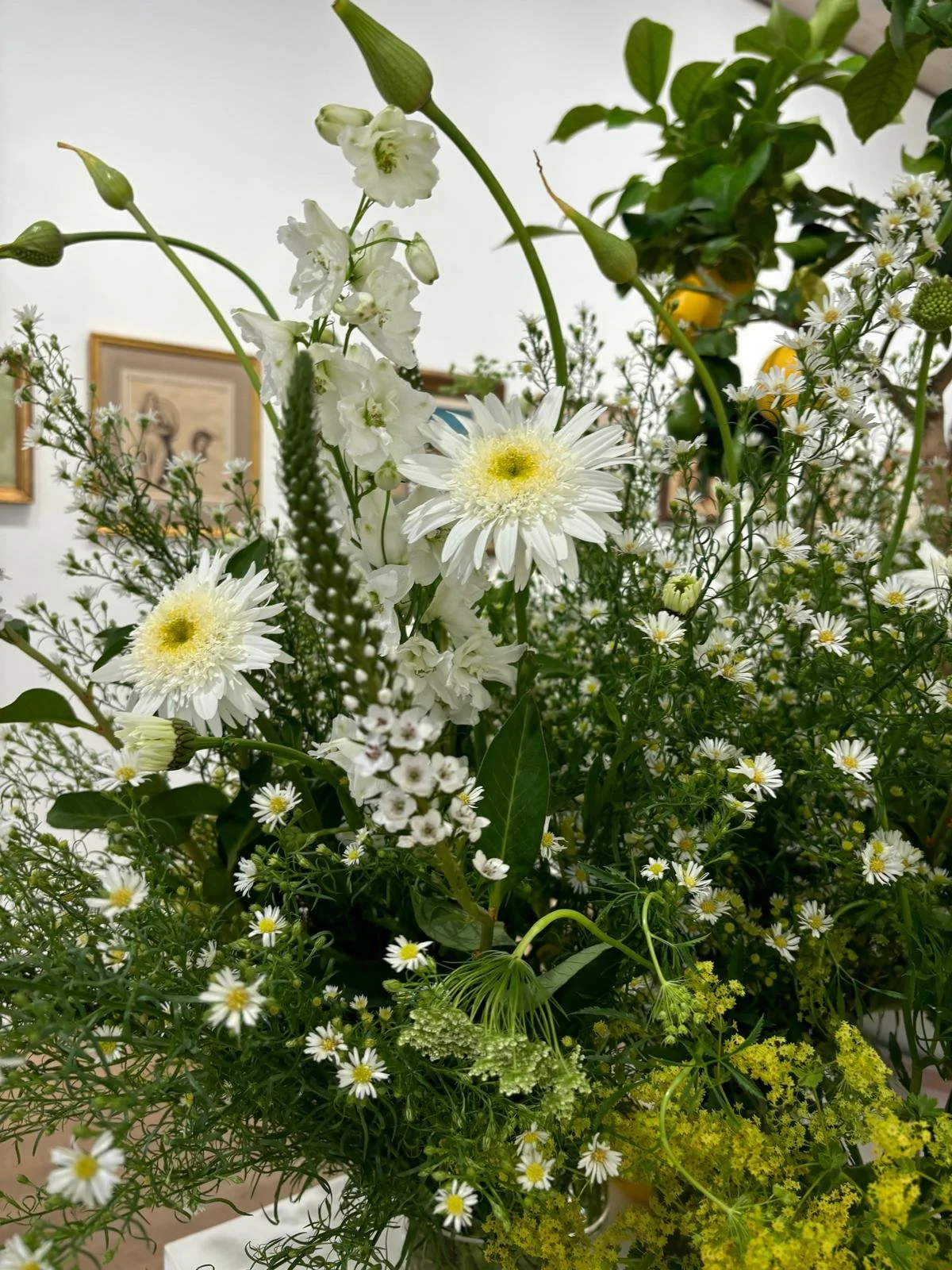 WhatsApp Image 2026-01-10 at 15.44.52456453.jpeg