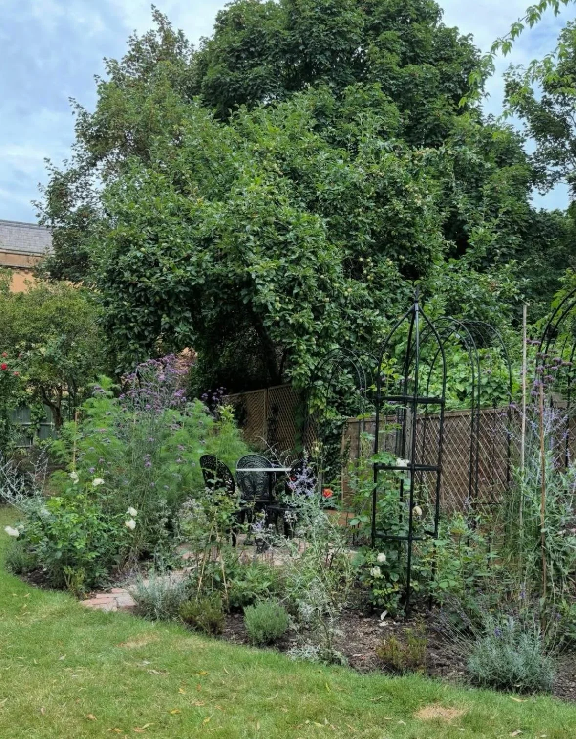 WhatsApp Image 2026-01-10 at 19.11.59mkbuvtedwsq.jpeg