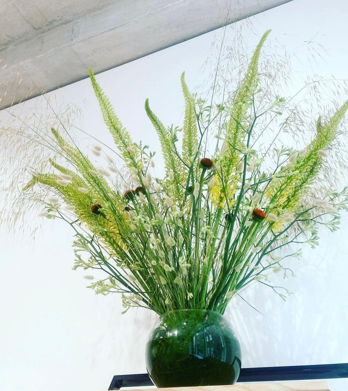 WhatsApp Image 2026-01-10 at 15.44.23777.jpeg