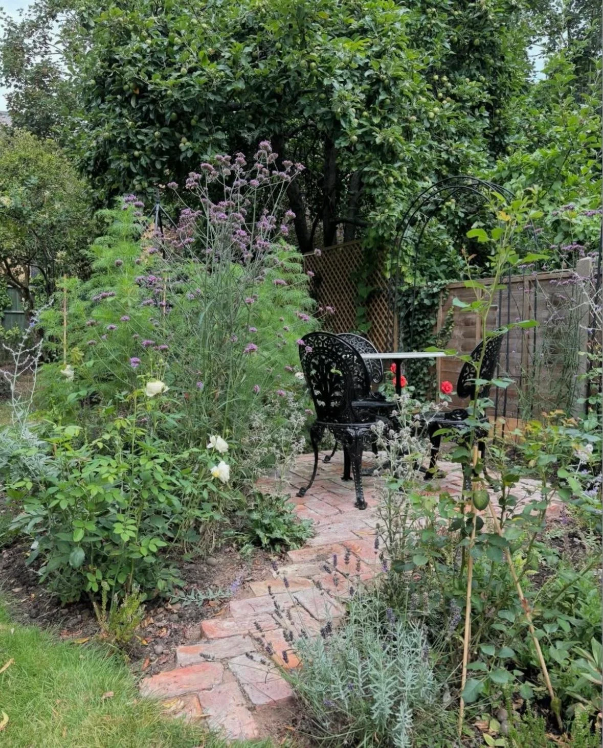 WhatsApp Image 2026-01-10 at 19.11.59awertty.jpeg