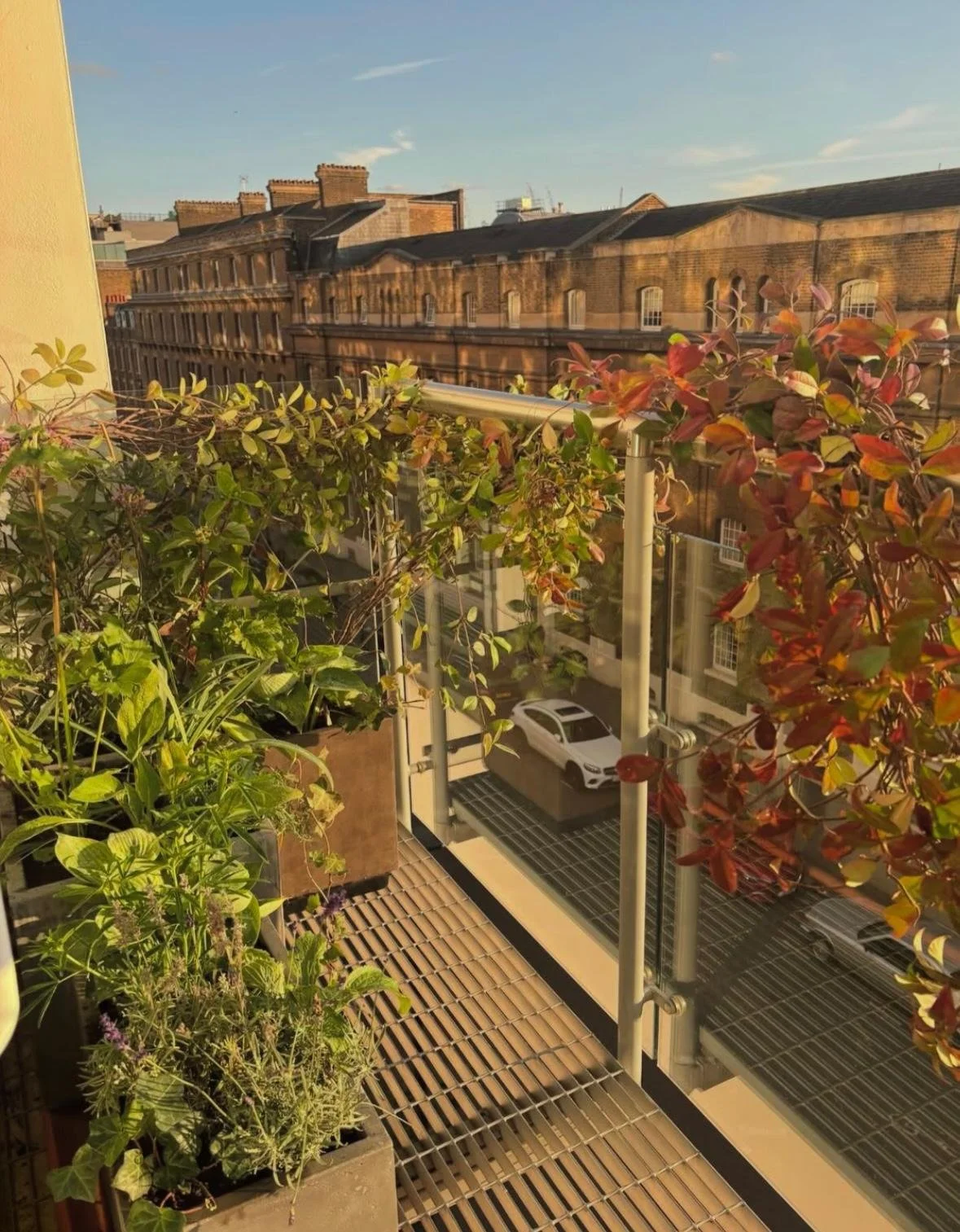 WhatsApp Image 2026-01-10 at 19.12.01hioeqwdhug3r877t4.jpeg