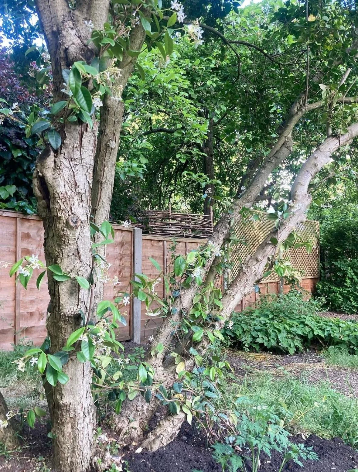 WhatsApp Image 2026-01-10 at 19.11.57lpolkihygteswqs.jpeg