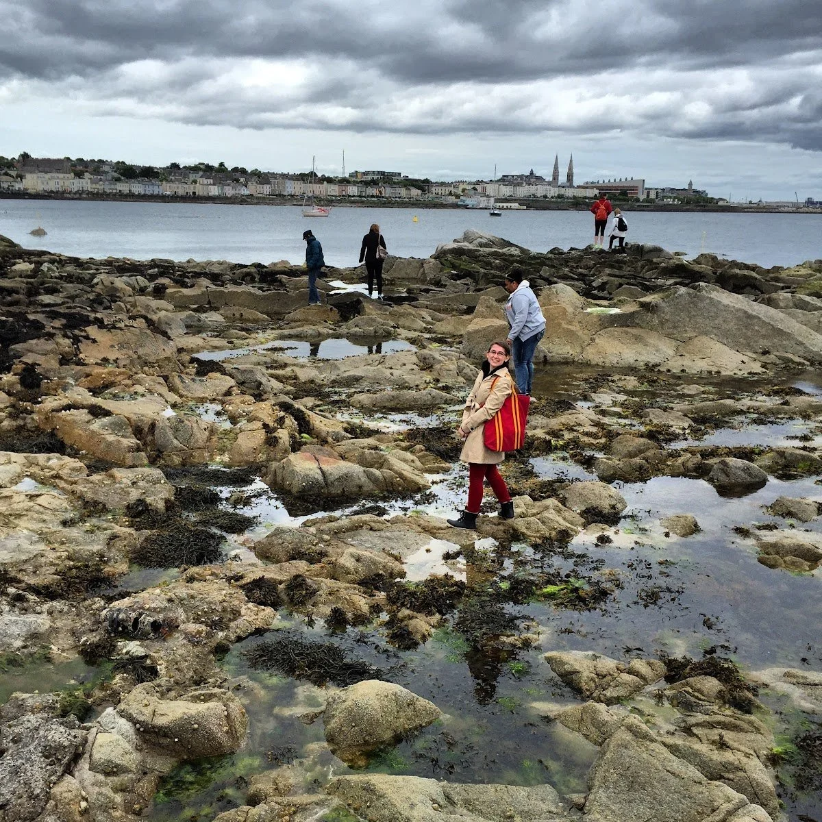 Ireland Rocky Coastline.JPG